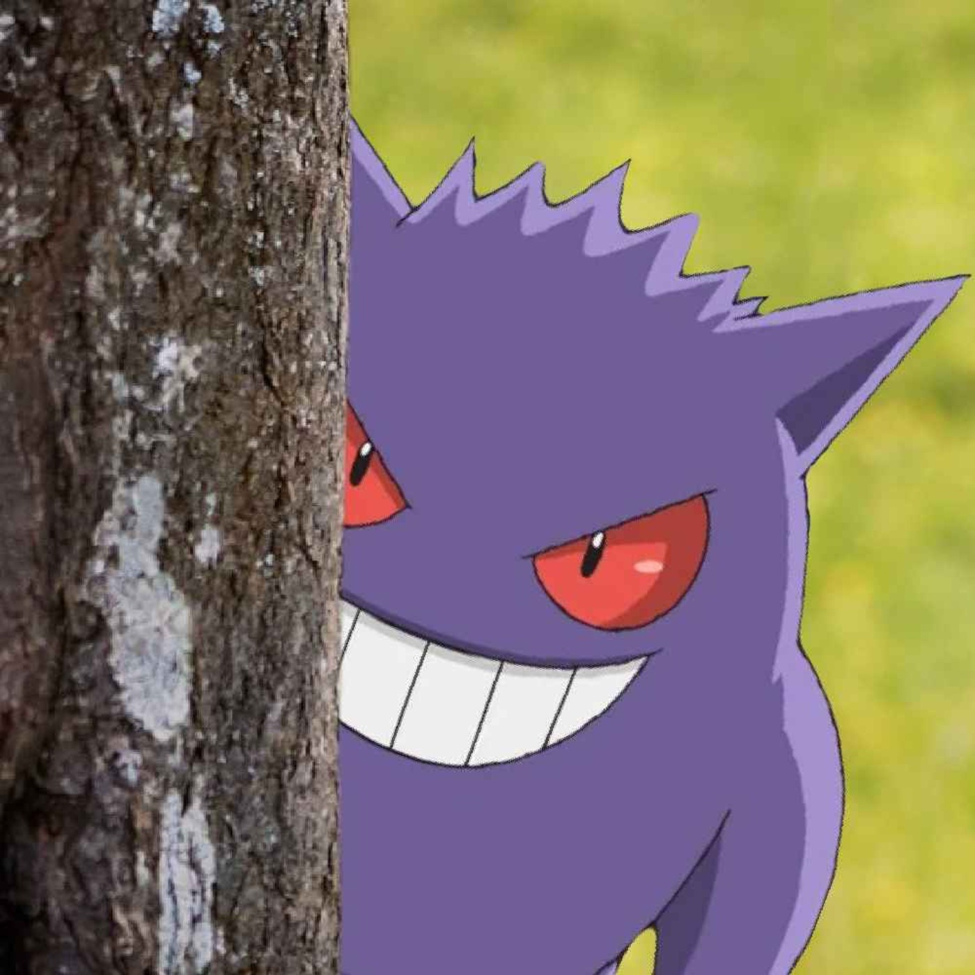 Mindys Trade Trick, TCG Values and Nuzlocke's