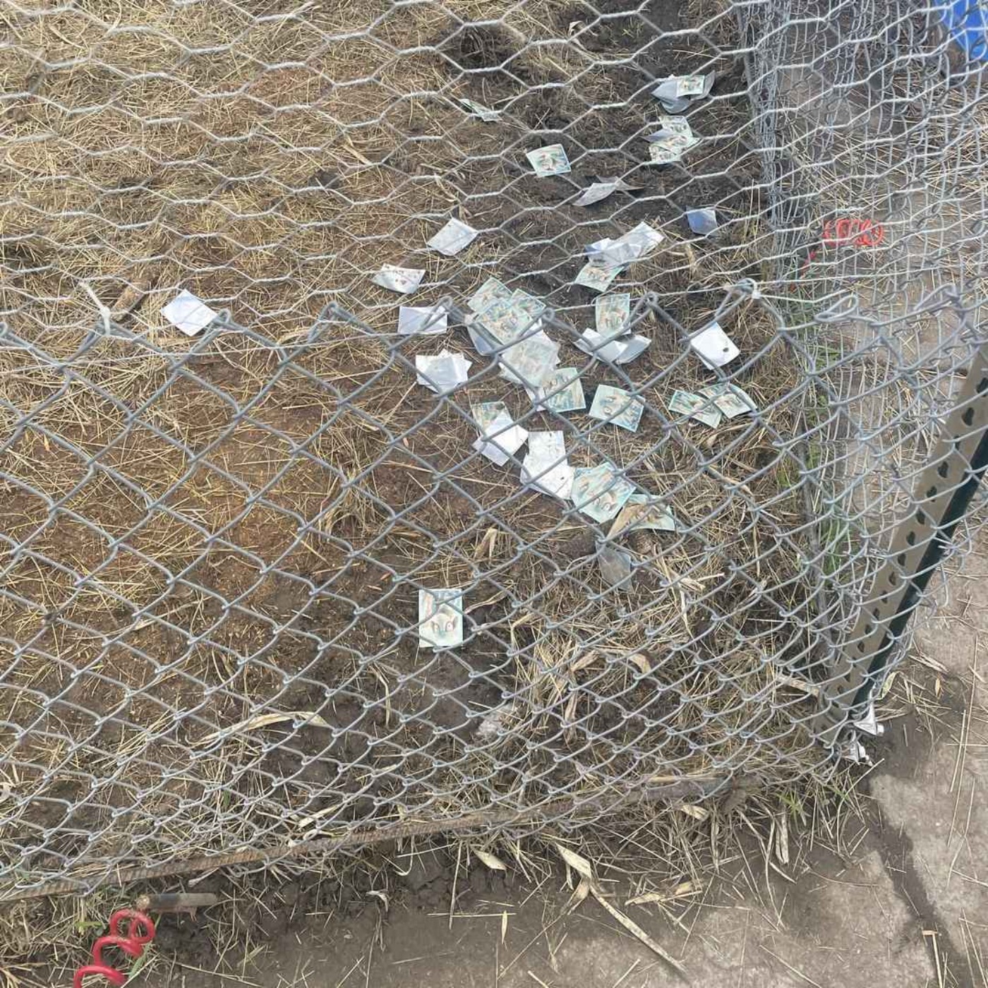 FedEx gave a package to some hungry animals