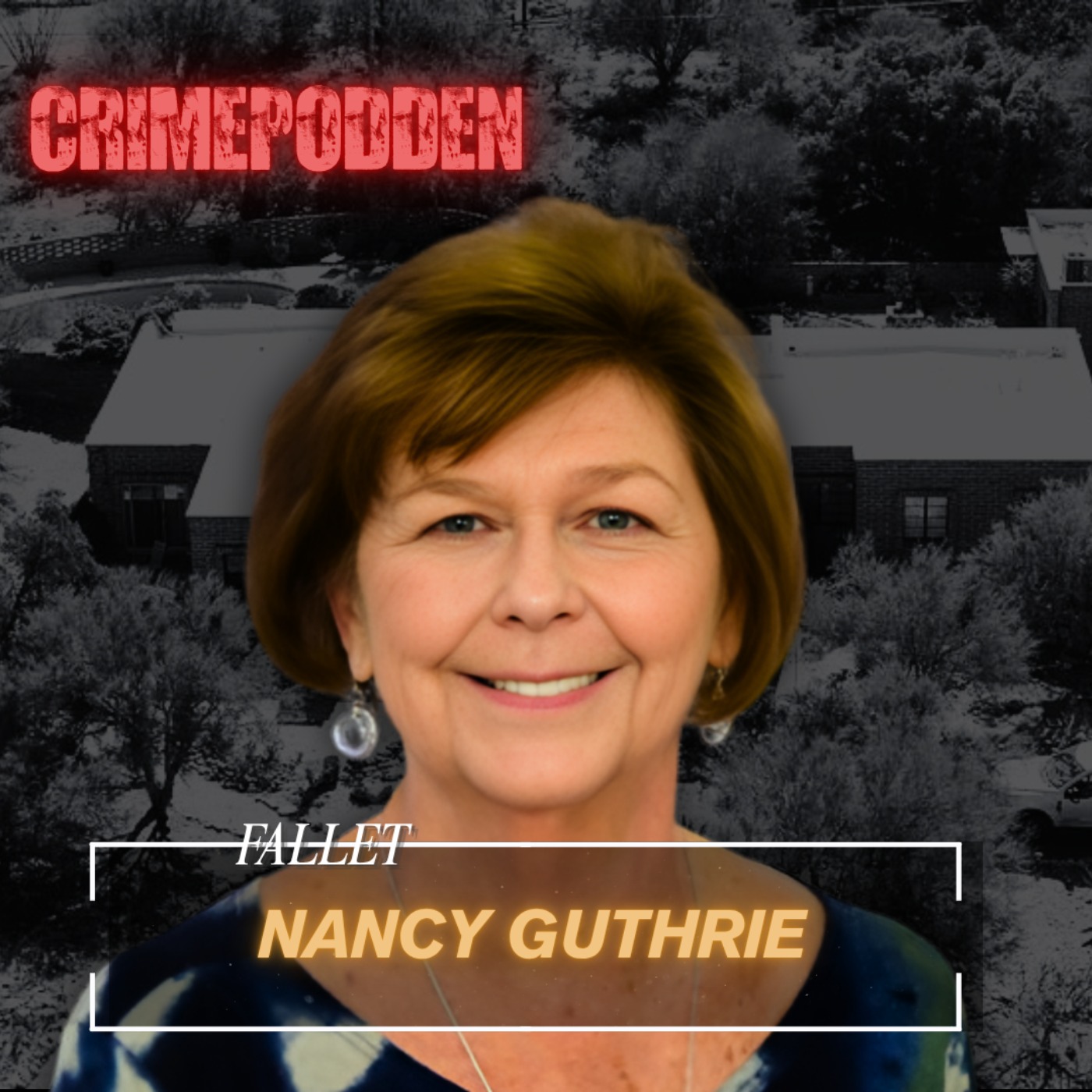 86. Fallet Nancy Guthrie episode artwork