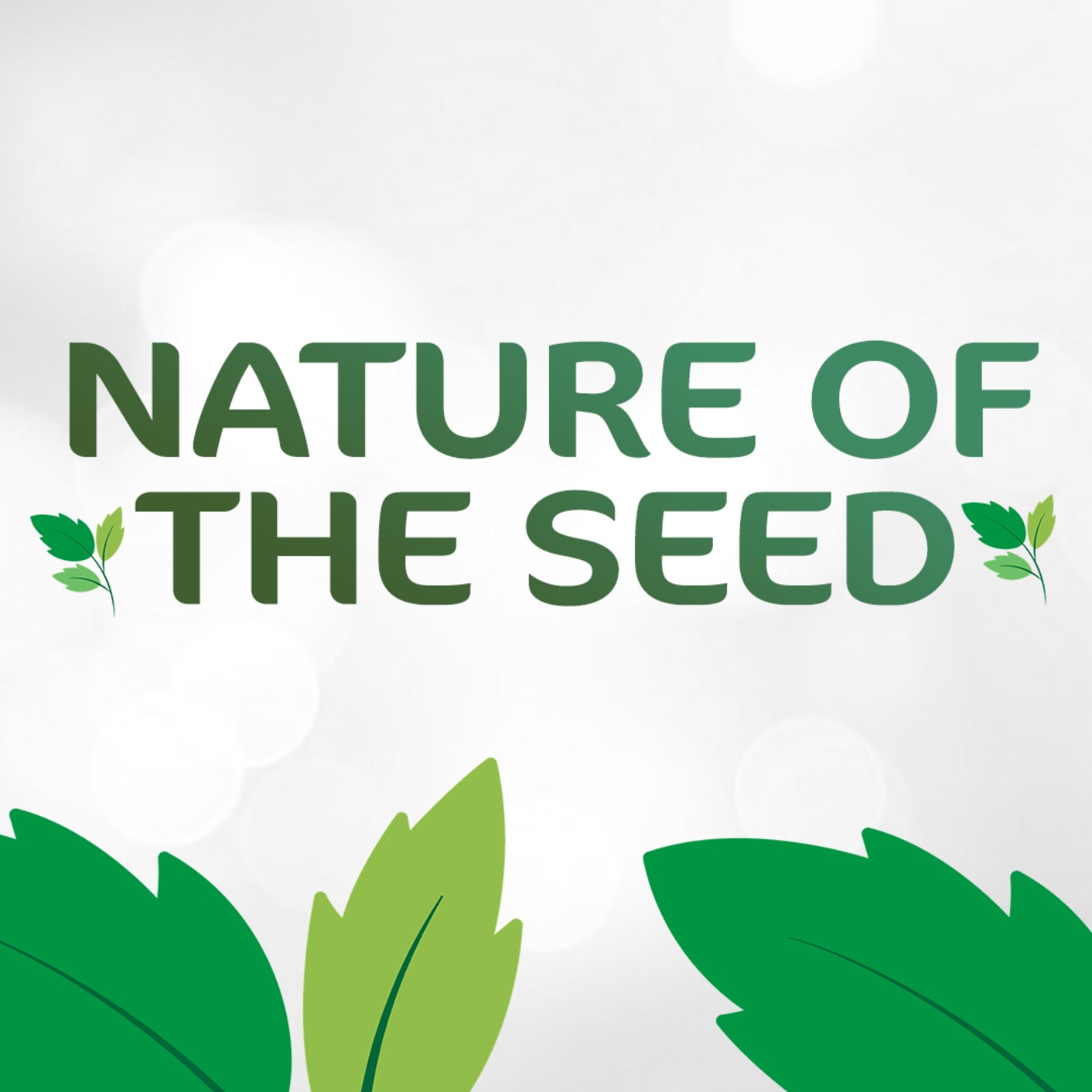 Nature of The Seed Part 4 - The Word of His Glory Podcast episode artwork