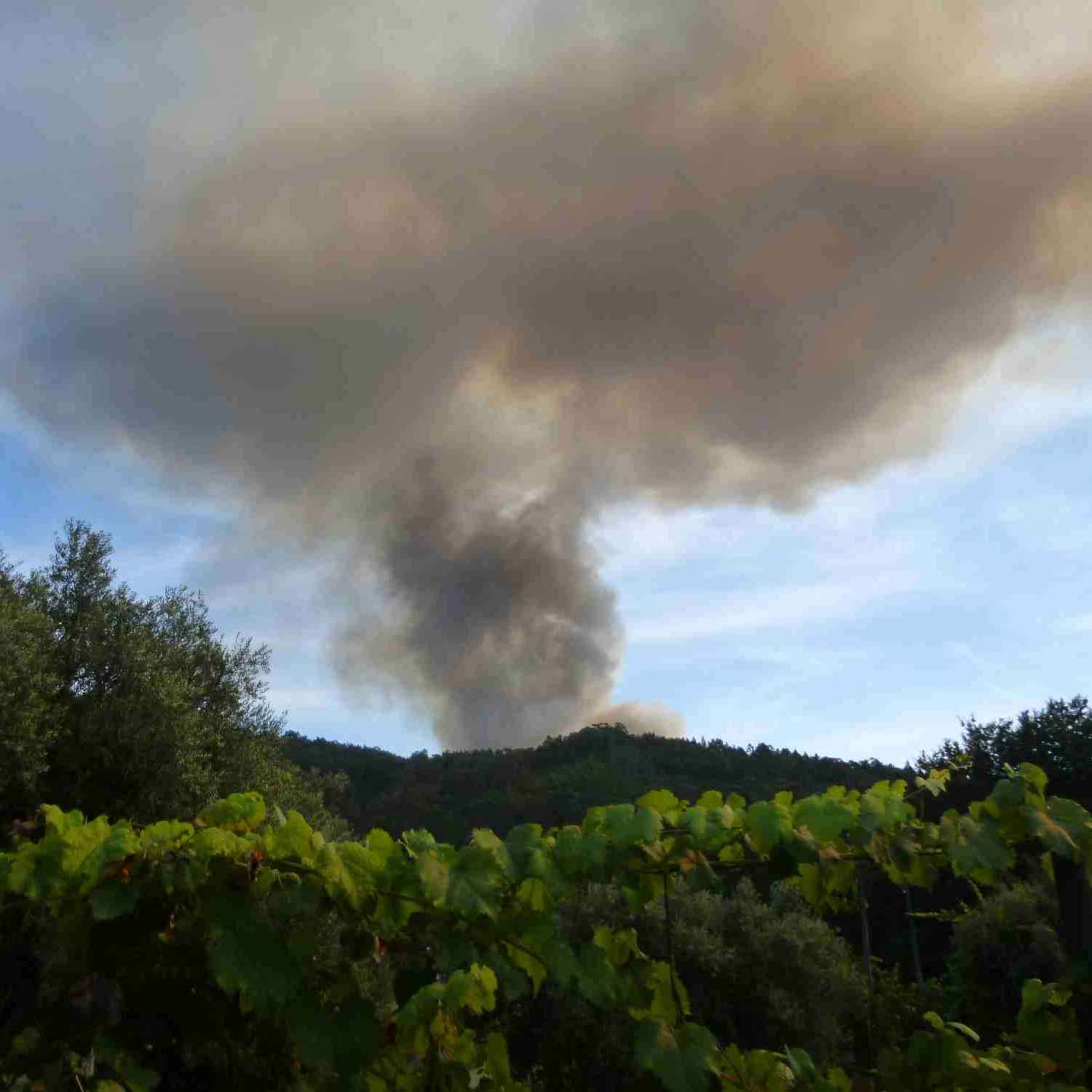 Portugal is burning: Insights, epiphanies & notes, Episode 6