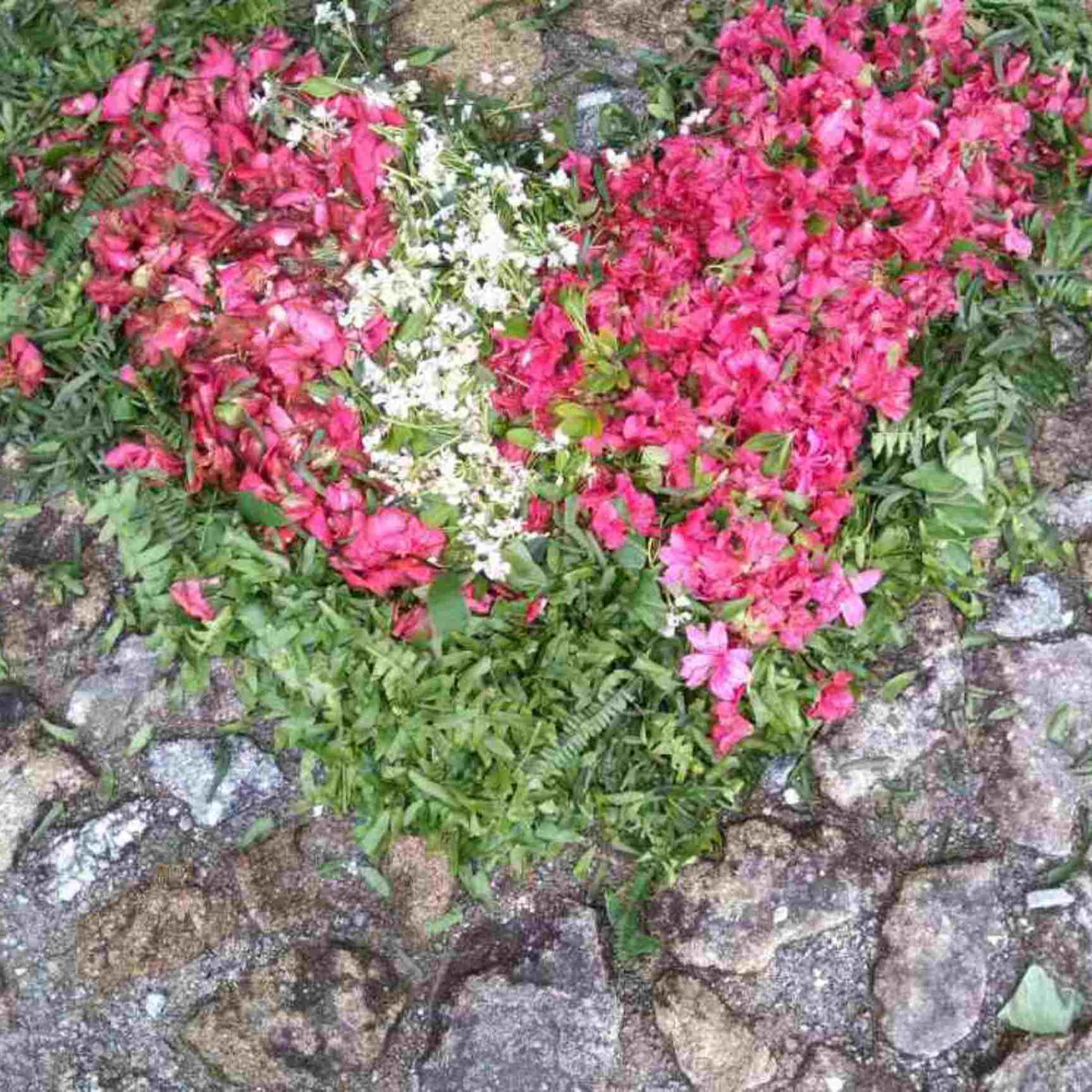 Messages from nature: Insights, epiphanies & notes, Episode 8