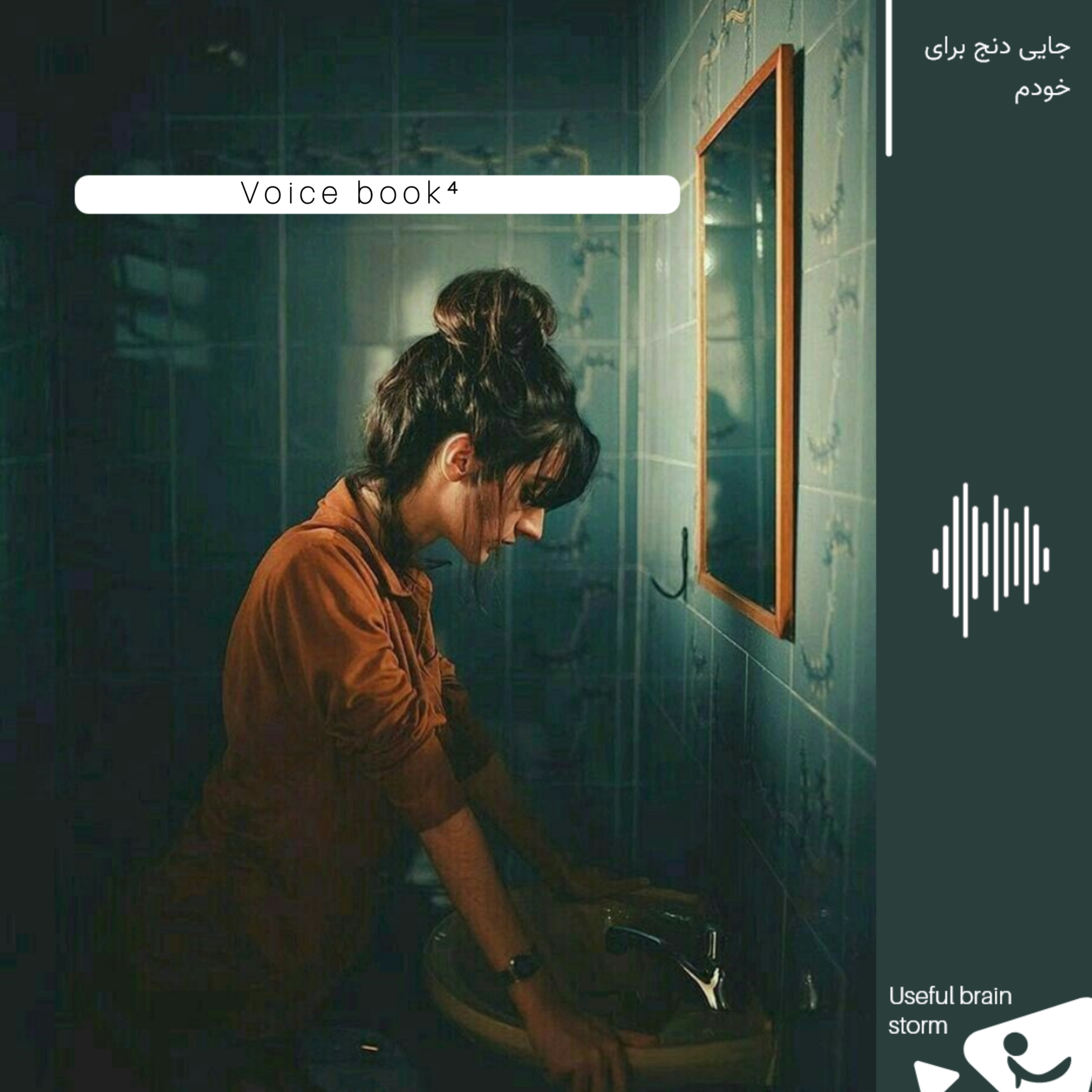 Voice book 4