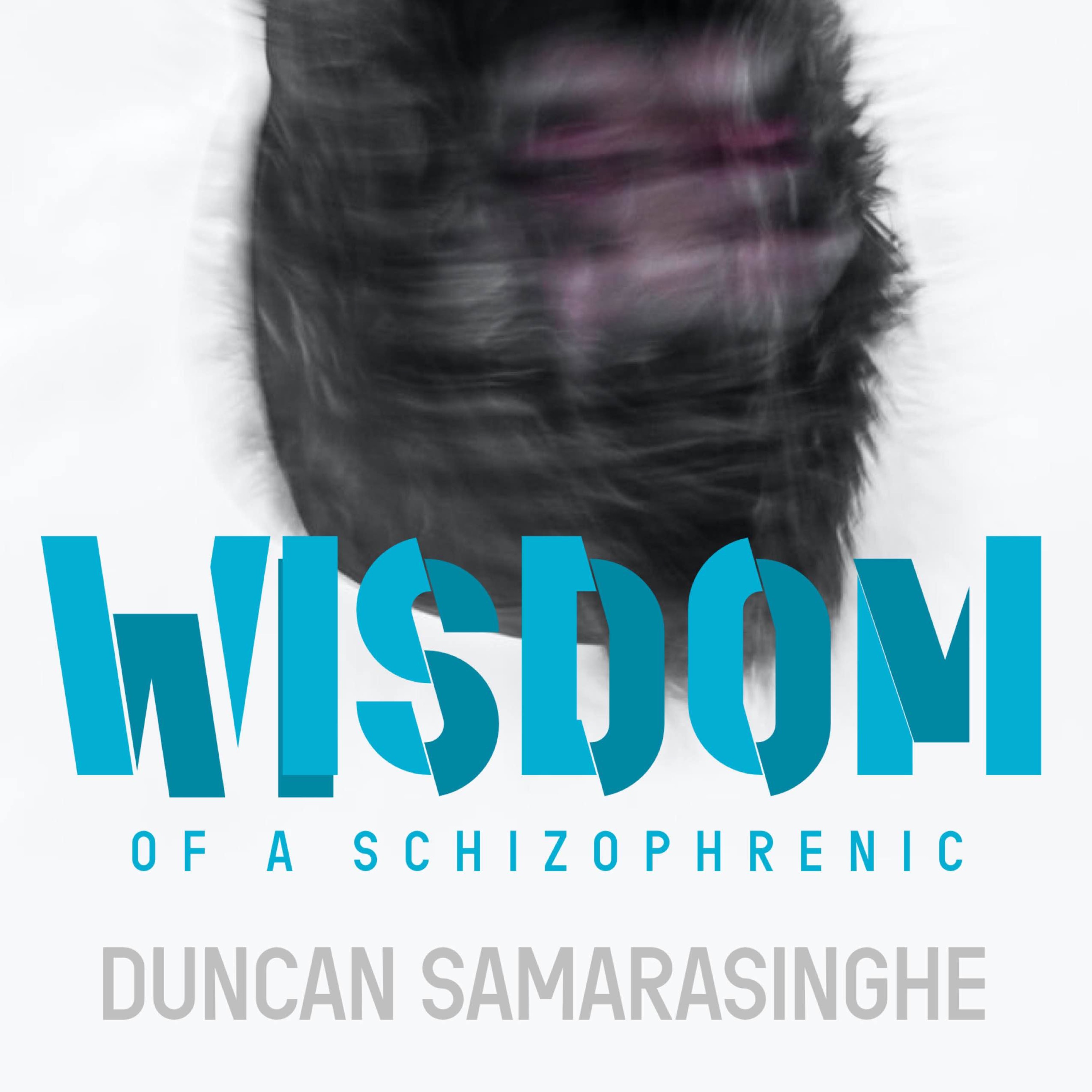 Interview with a schizophrenic
