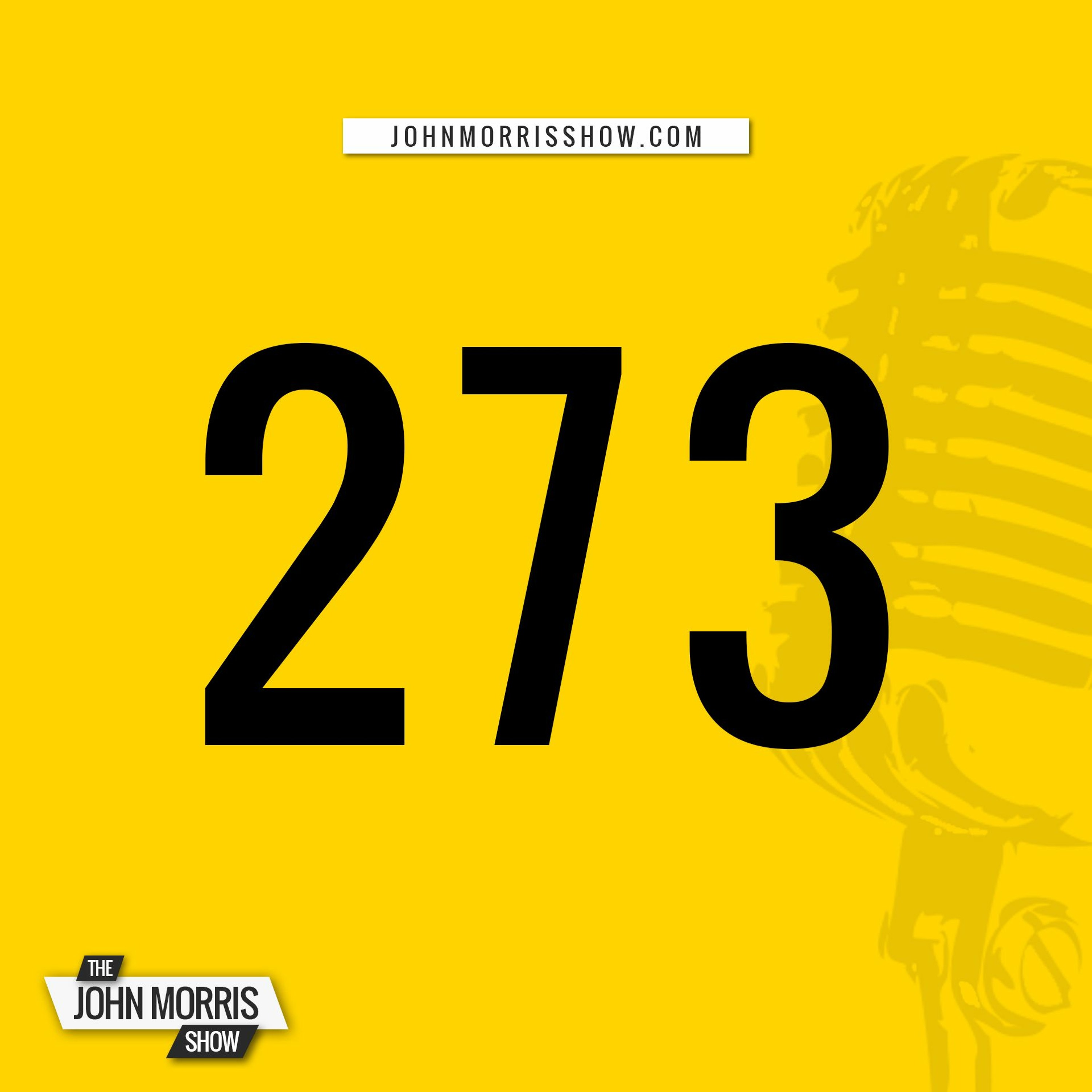 JMS273: Can I Make Money Building WordPress Websites? episode artwork