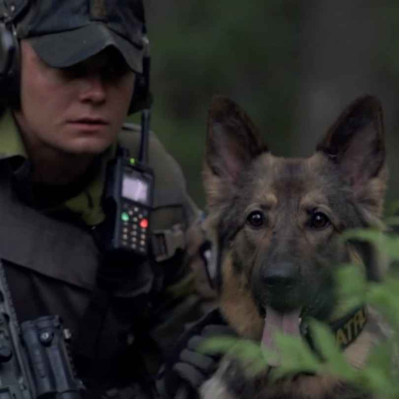 Militärsnack