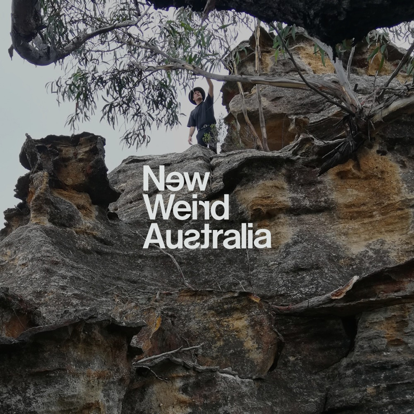 New Weird Australia