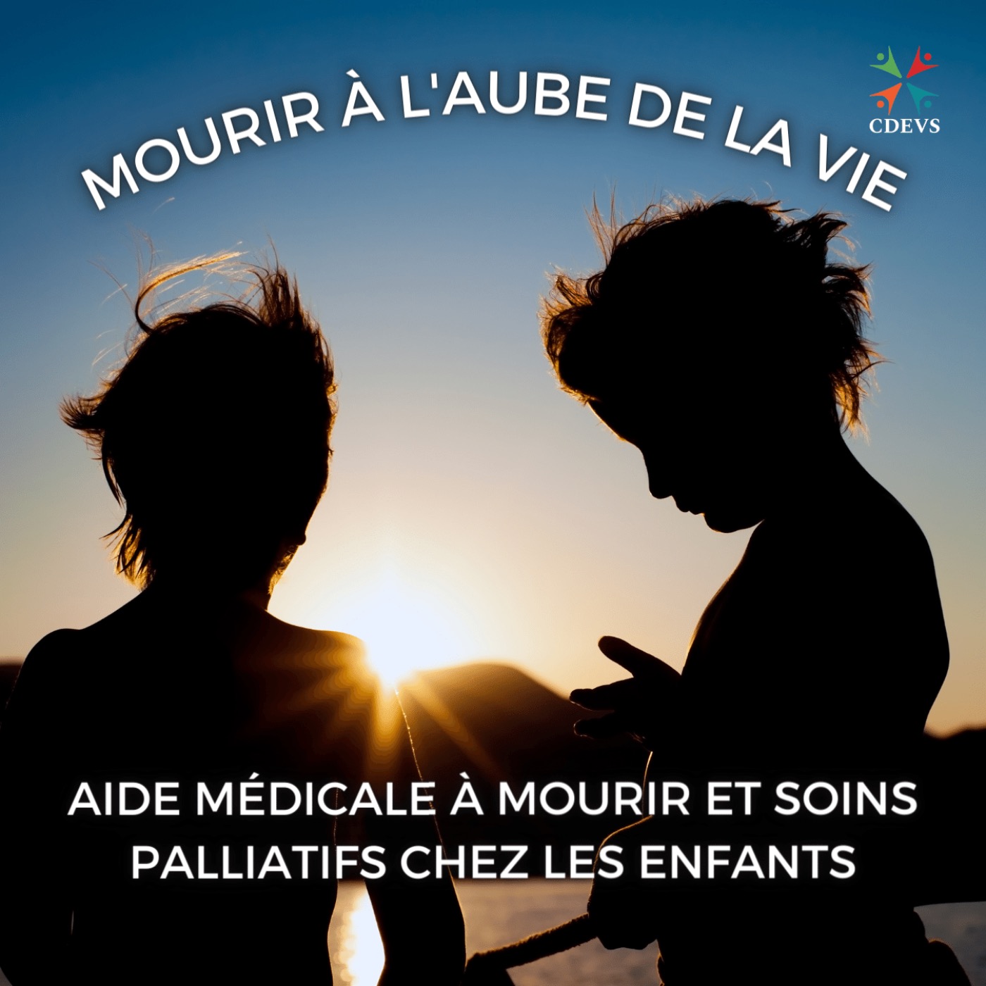 Centre dominicain d\'éthique et de vie spirituelle (CDEVS)