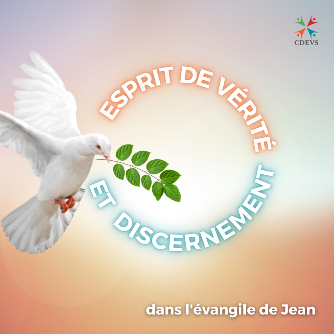Centre dominicain d\'éthique et de vie spirituelle (CDEVS)