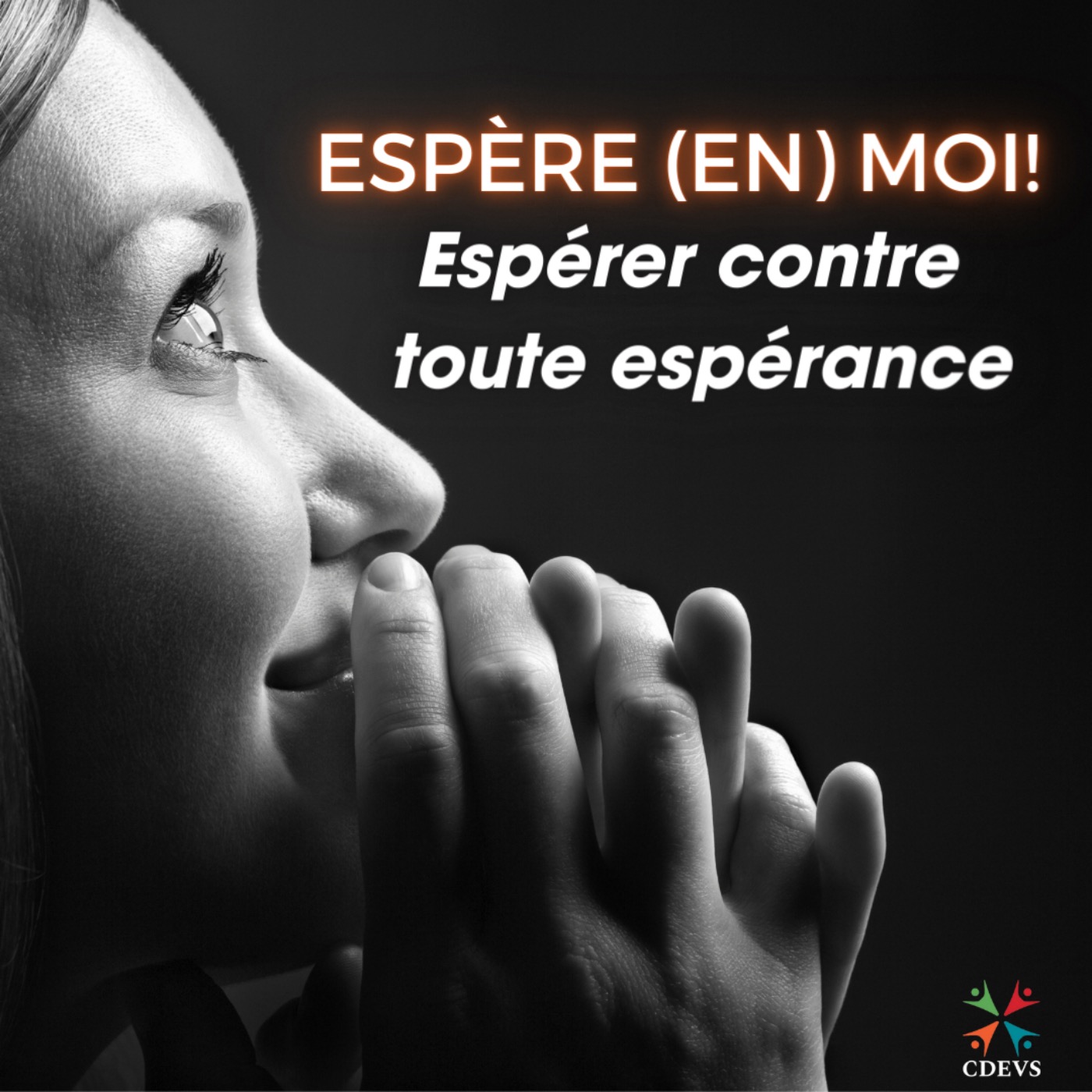 Centre dominicain d\'éthique et de vie spirituelle (CDEVS)