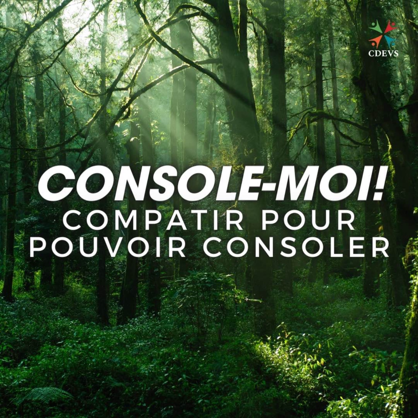 Centre dominicain d\'éthique et de vie spirituelle (CDEVS)