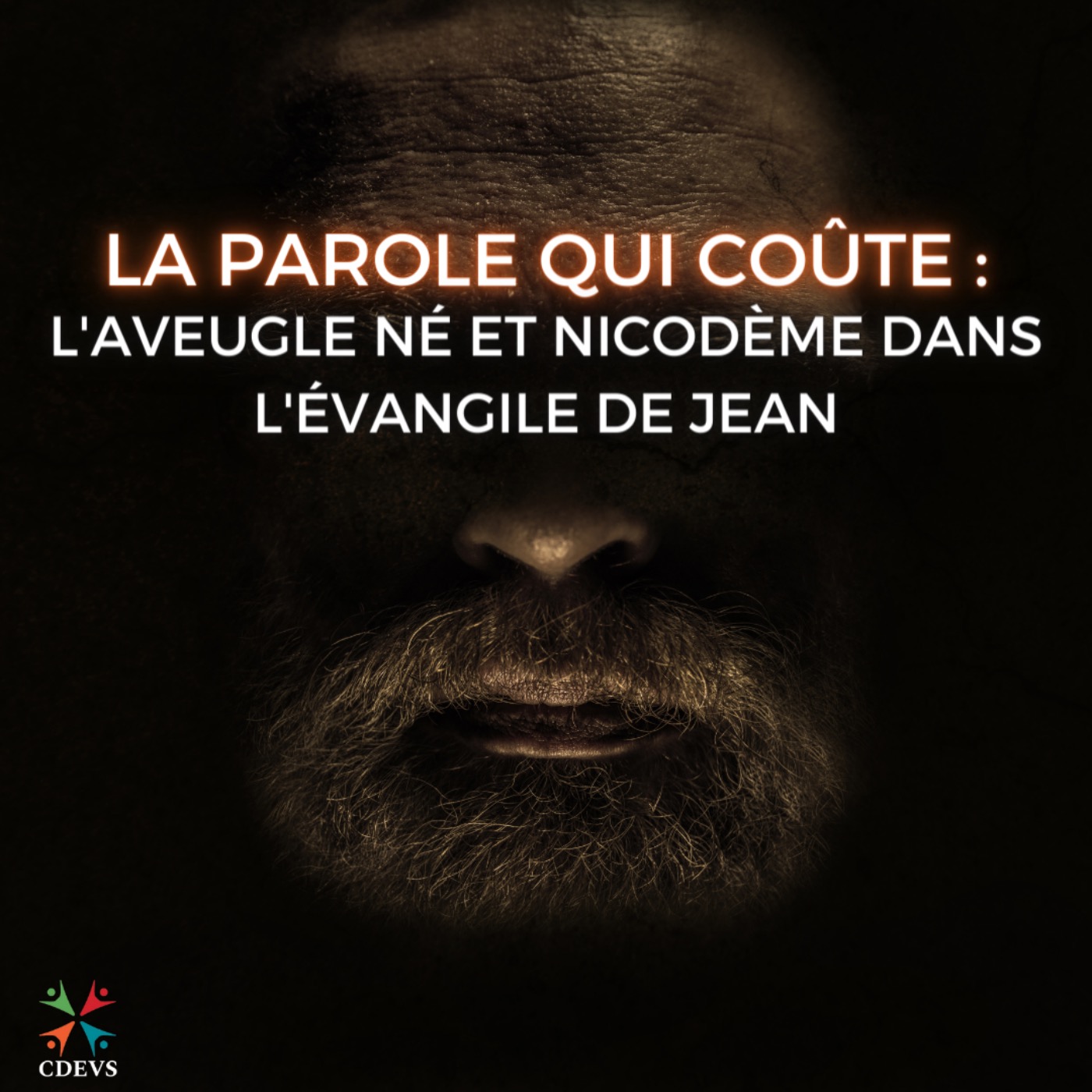 Centre dominicain d\'éthique et de vie spirituelle (CDEVS)