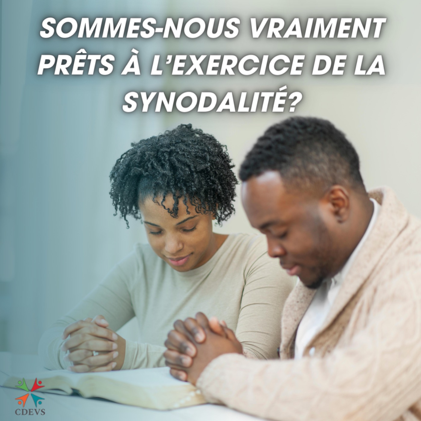 Centre dominicain d\'éthique et de vie spirituelle (CDEVS)