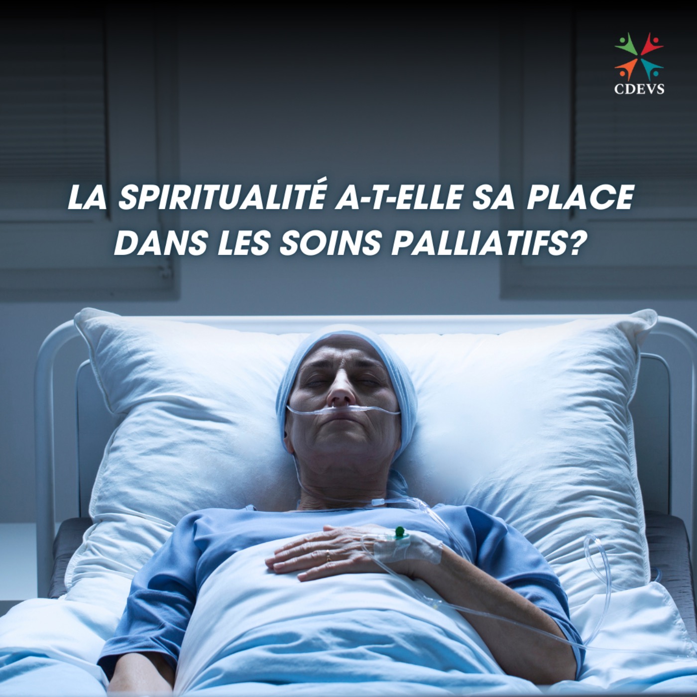 Centre dominicain d\'éthique et de vie spirituelle (CDEVS)