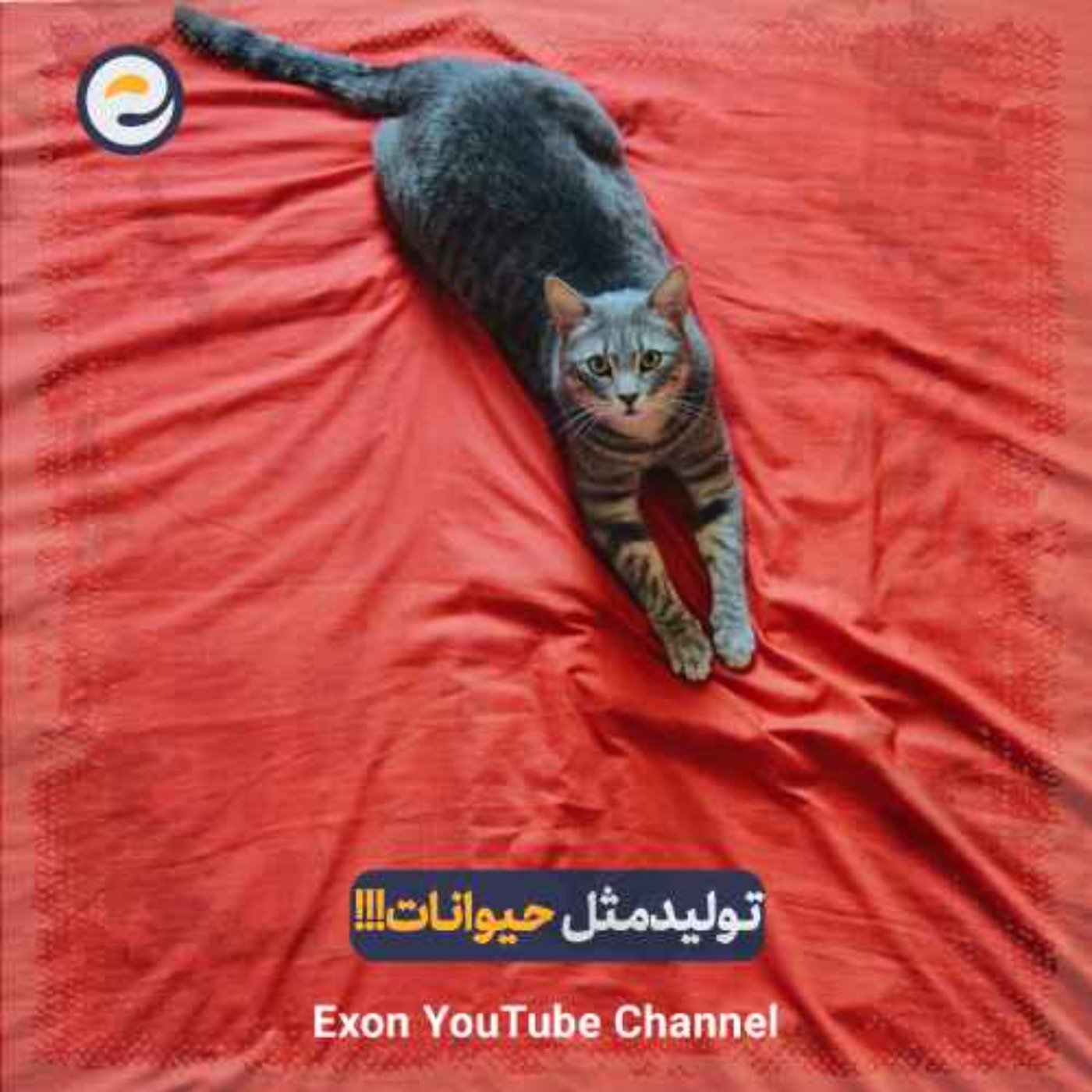 پادکست اگزون / Exon podcast / حیرت‌های دنیای ژن‌های شما در سرزمین بی نظیر علوم طبیعی