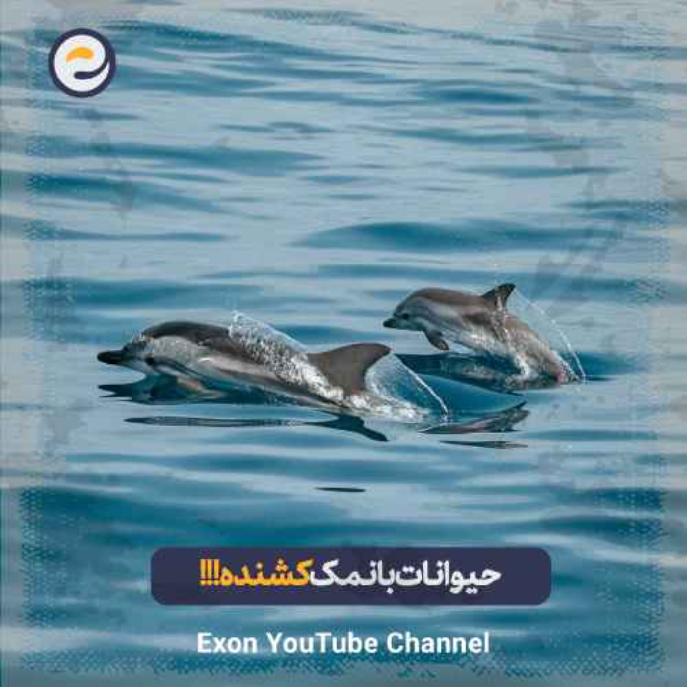 پادکست اگزون / Exon podcast / حیرت‌های دنیای ژن‌های شما در سرزمین بی نظیر علوم طبیعی