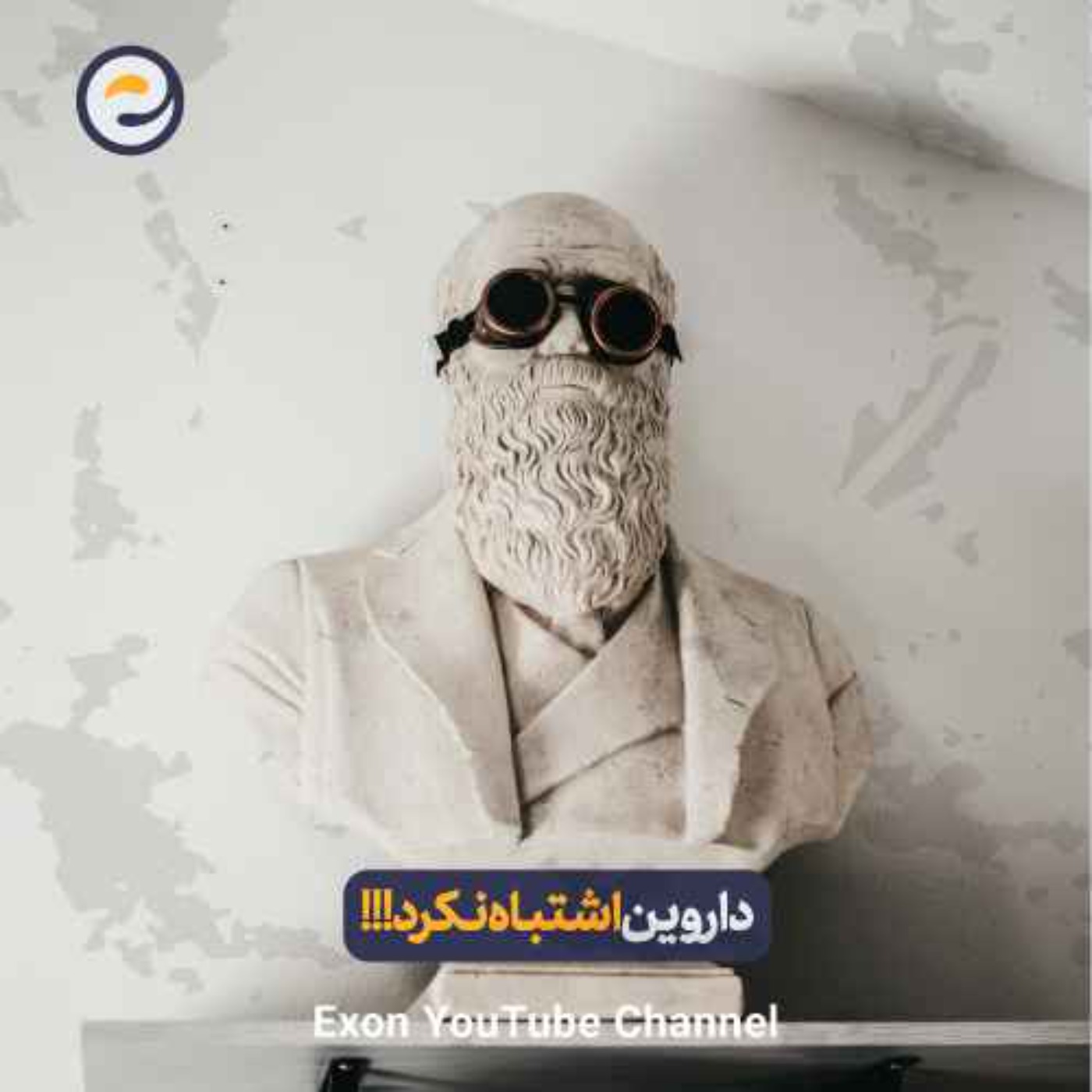 چرا نظریه زیبایی داروین همه چیز را تغییر داد | انتخاب جنسی!