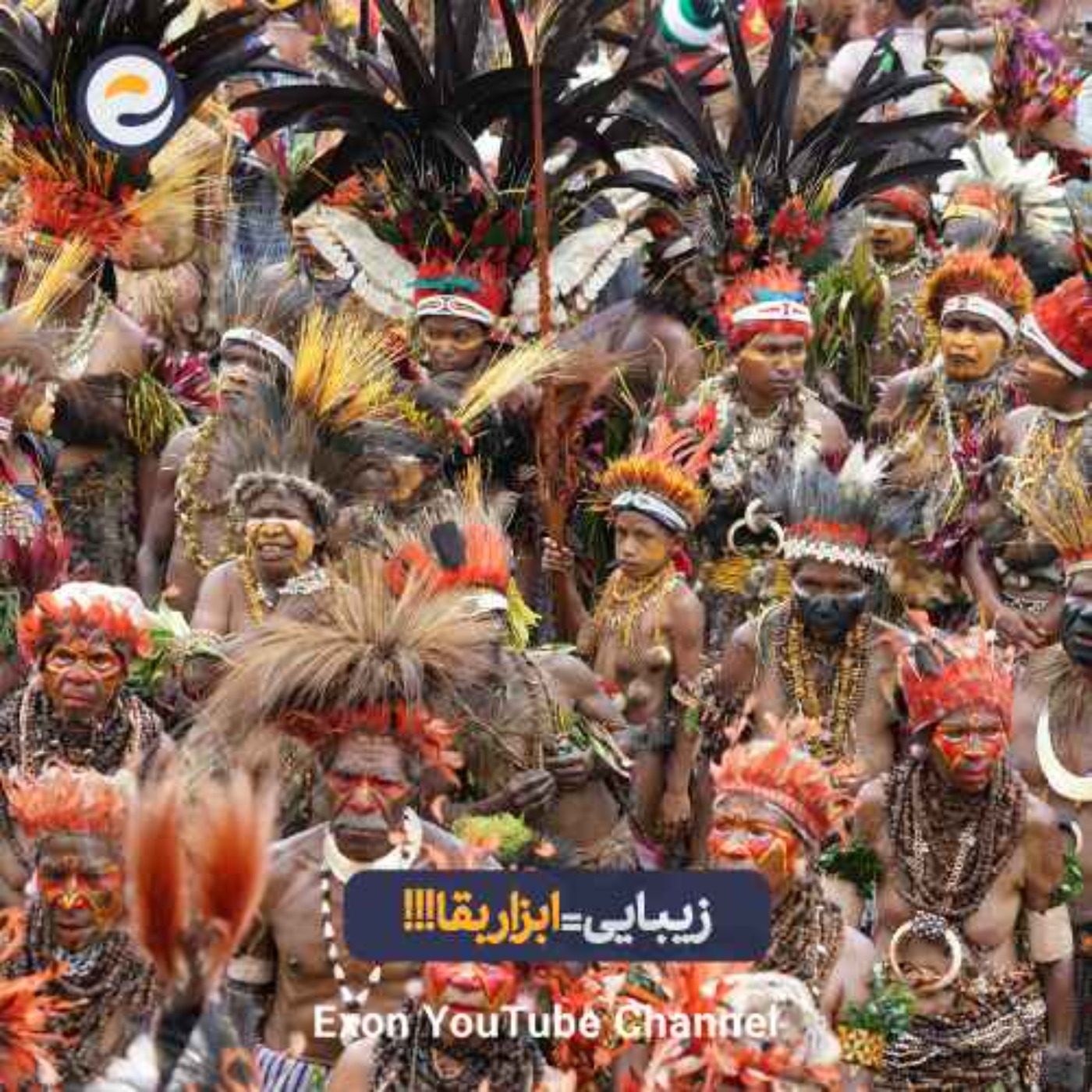 چرا فقط انسان خودش را تزئین می‌کند؟ | راز زیبایی انسان و تکامل فرهنگی