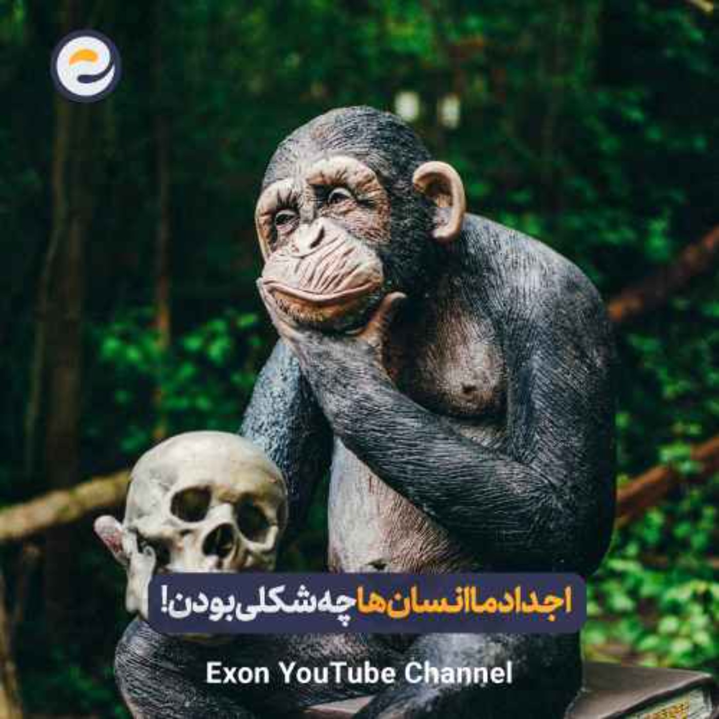 قدیمی ترین اجداد انسان | انسان های اولیه واقعا چه شکلی بودند؟!