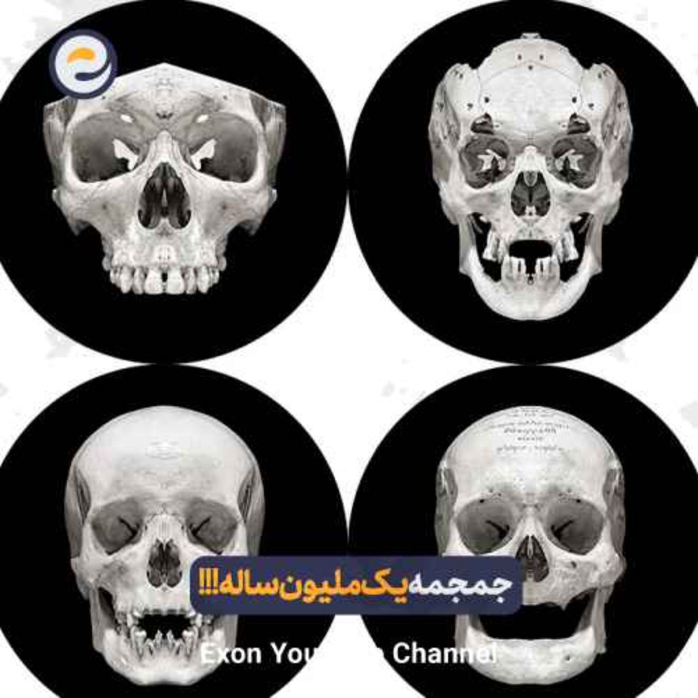 انسان خردمند؛ سفری که جهان را تسخیر کرد | مهاجرت بزرگ از آفریقا