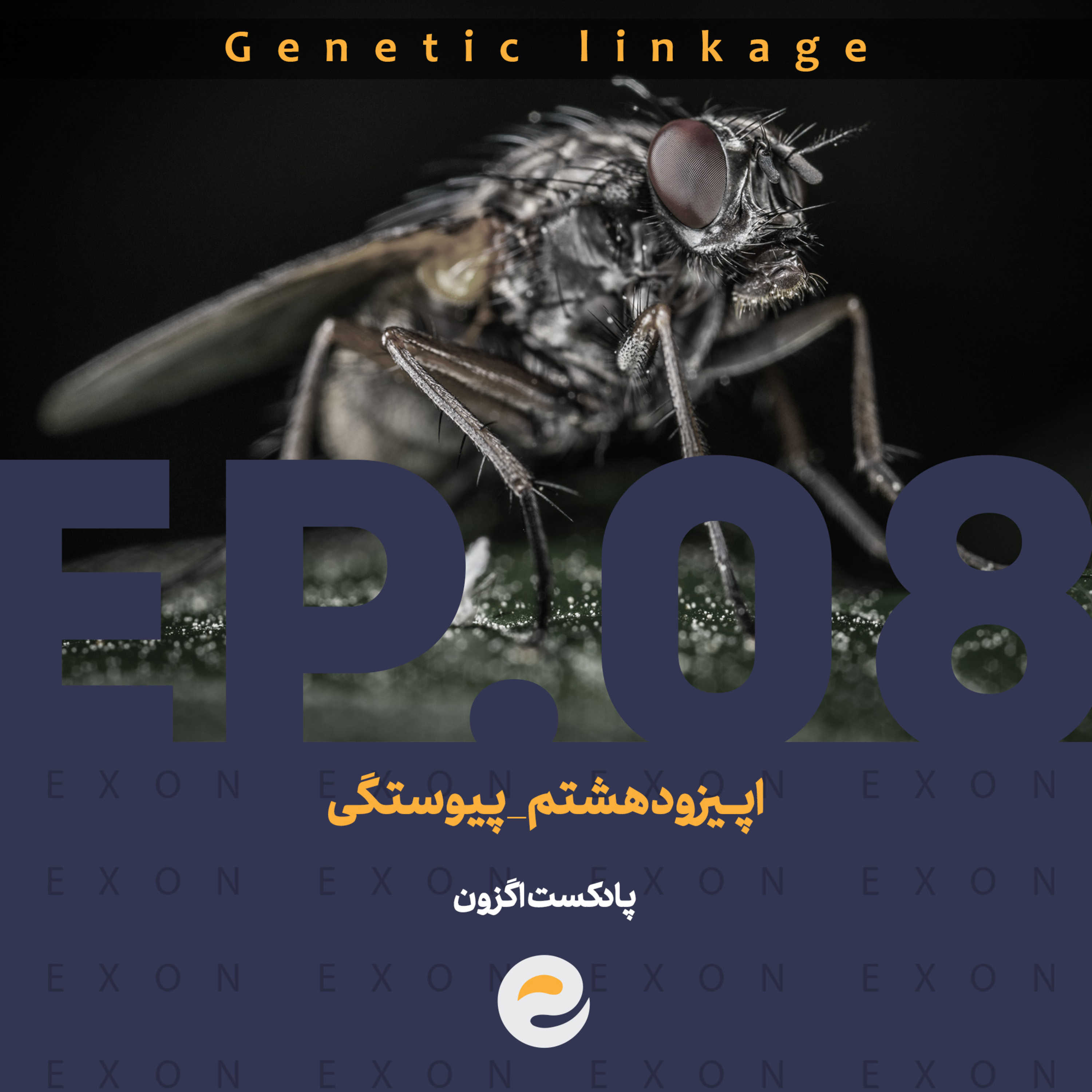 پادکست اگزون / Exon podcast / حیرت‌های دنیای ژن‌های شما در سرزمین بی نظیر علوم طبیعی
