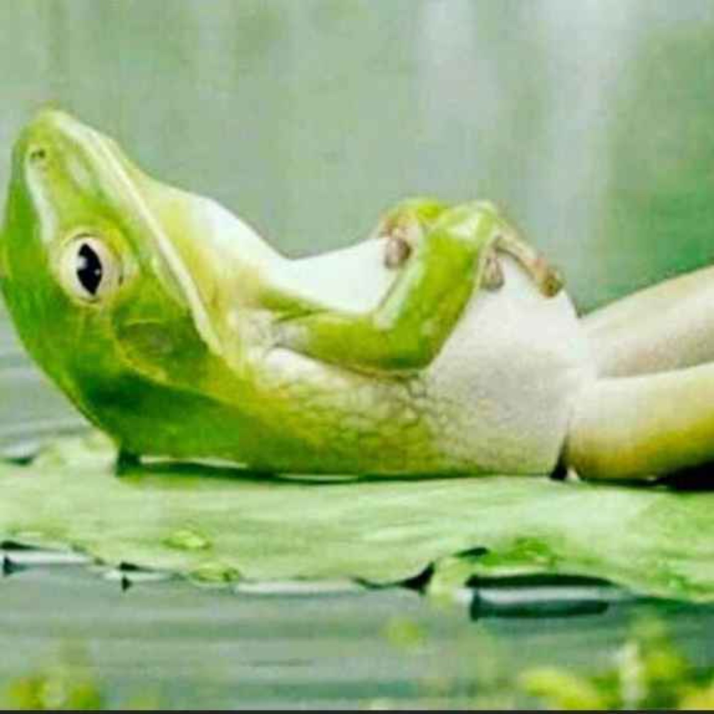 زندگی رو آسون بگیر | ۲۰ دقیقه مدیتیشن