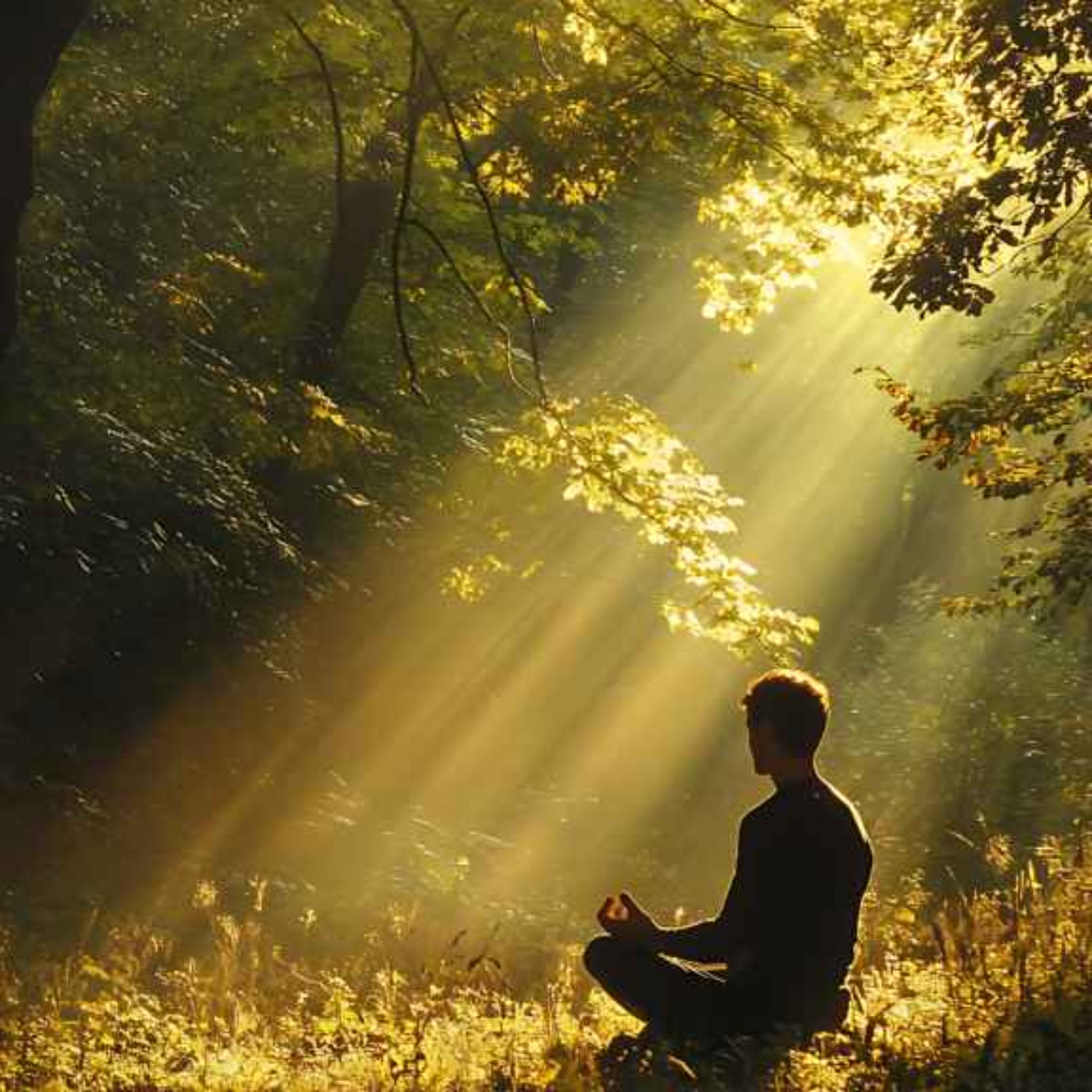 سفری برای دگرگونی | روز ۶| مراقبه آگاهی
