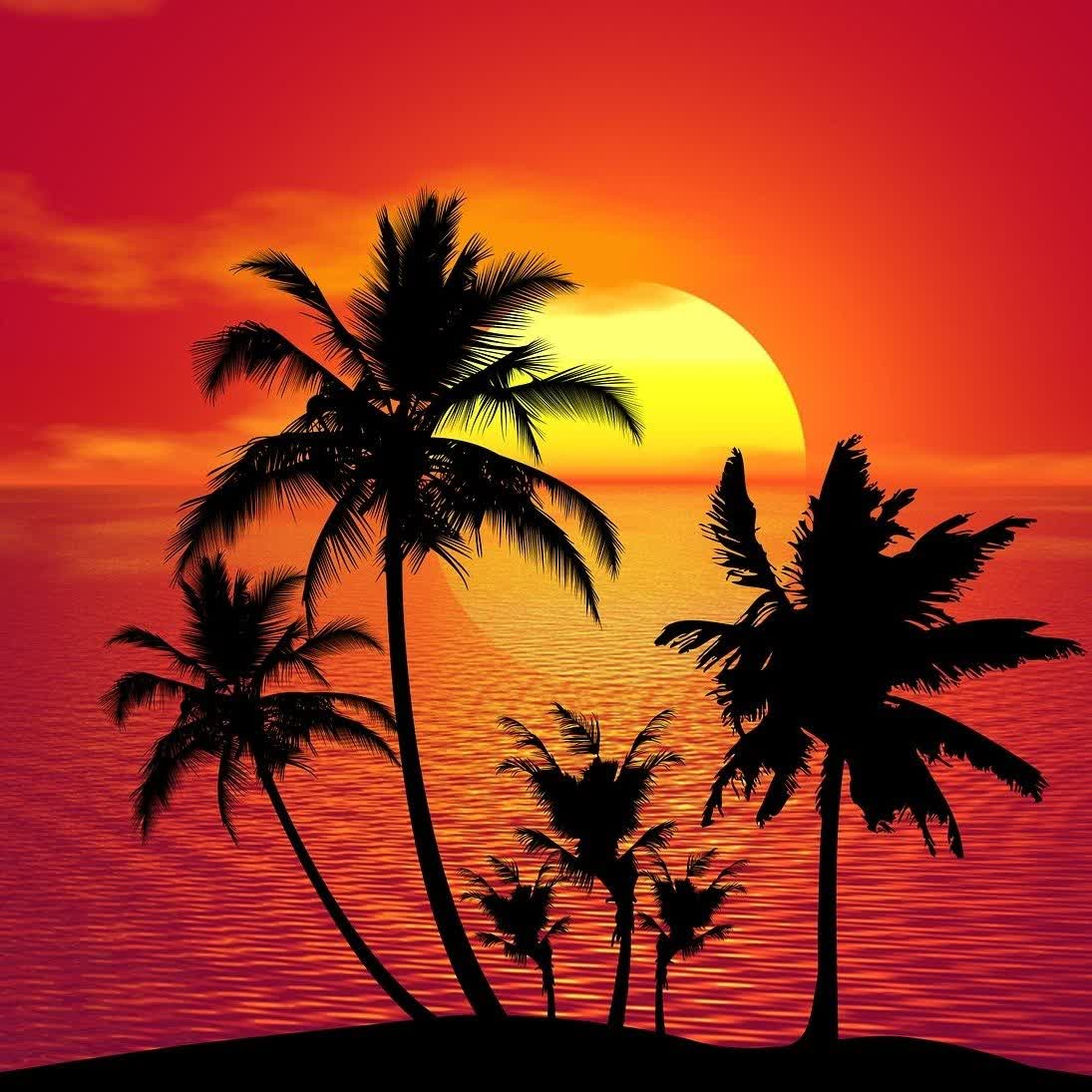 Dias de verano episode artwork