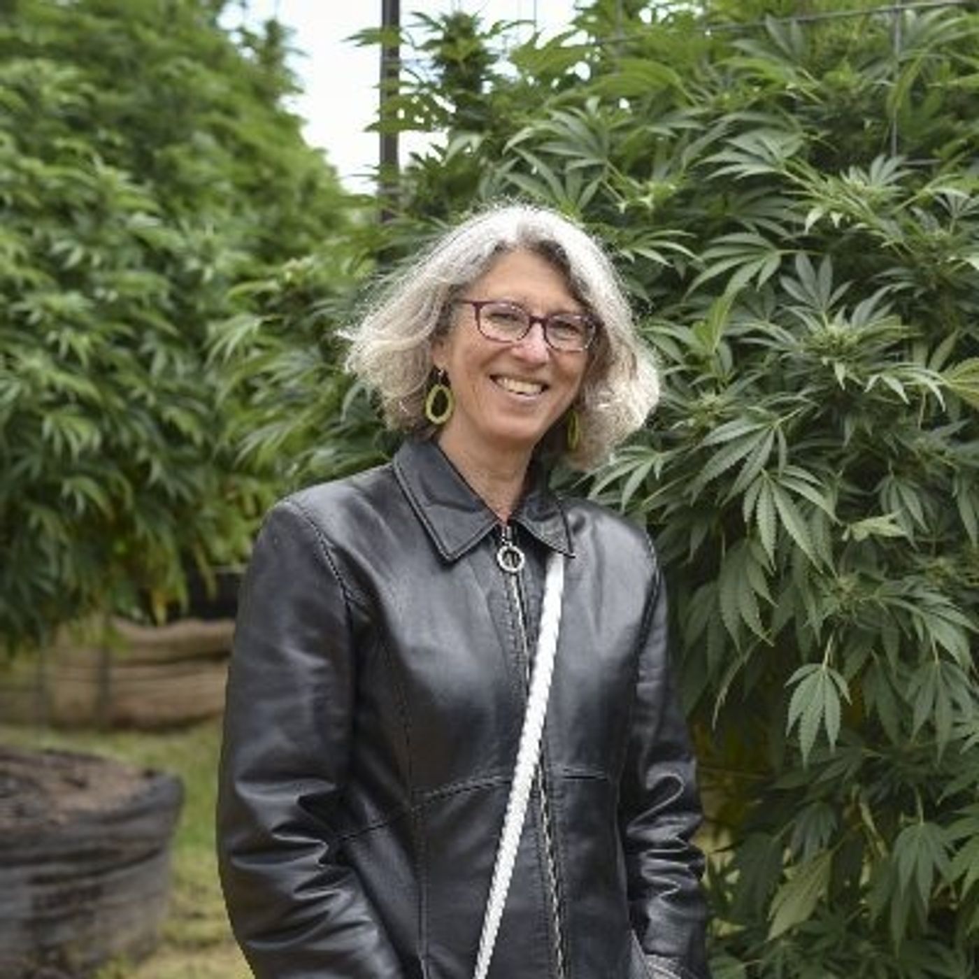 Kannaboom | CBD and Cannabis for Wellness