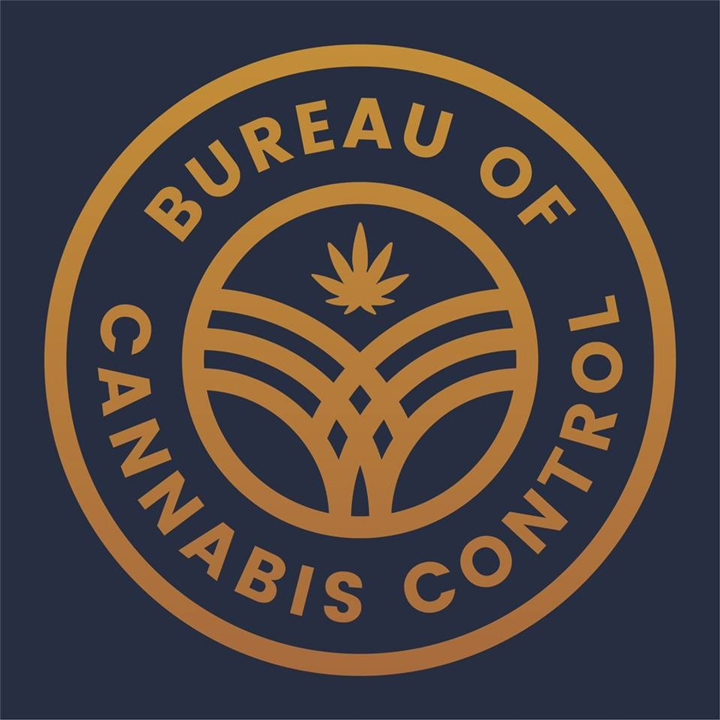 Kannaboom | CBD and Cannabis for Wellness