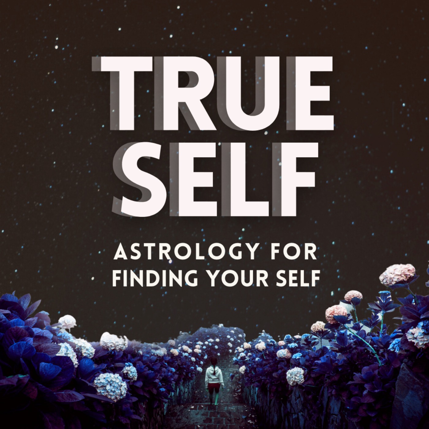 cover art for Dear True Self: What am I doing with my life?