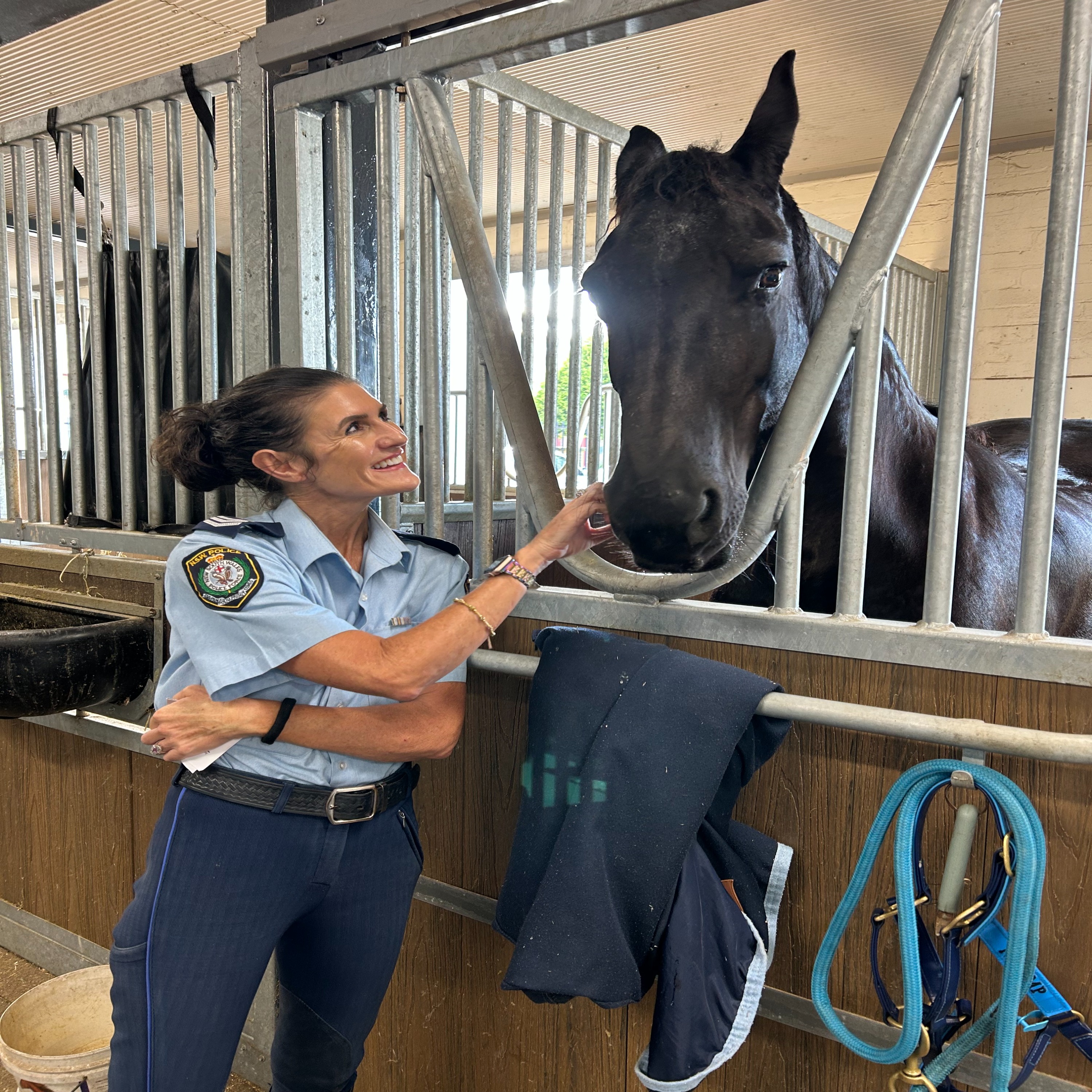 What it takes to be a modern Police Horse episode artwork