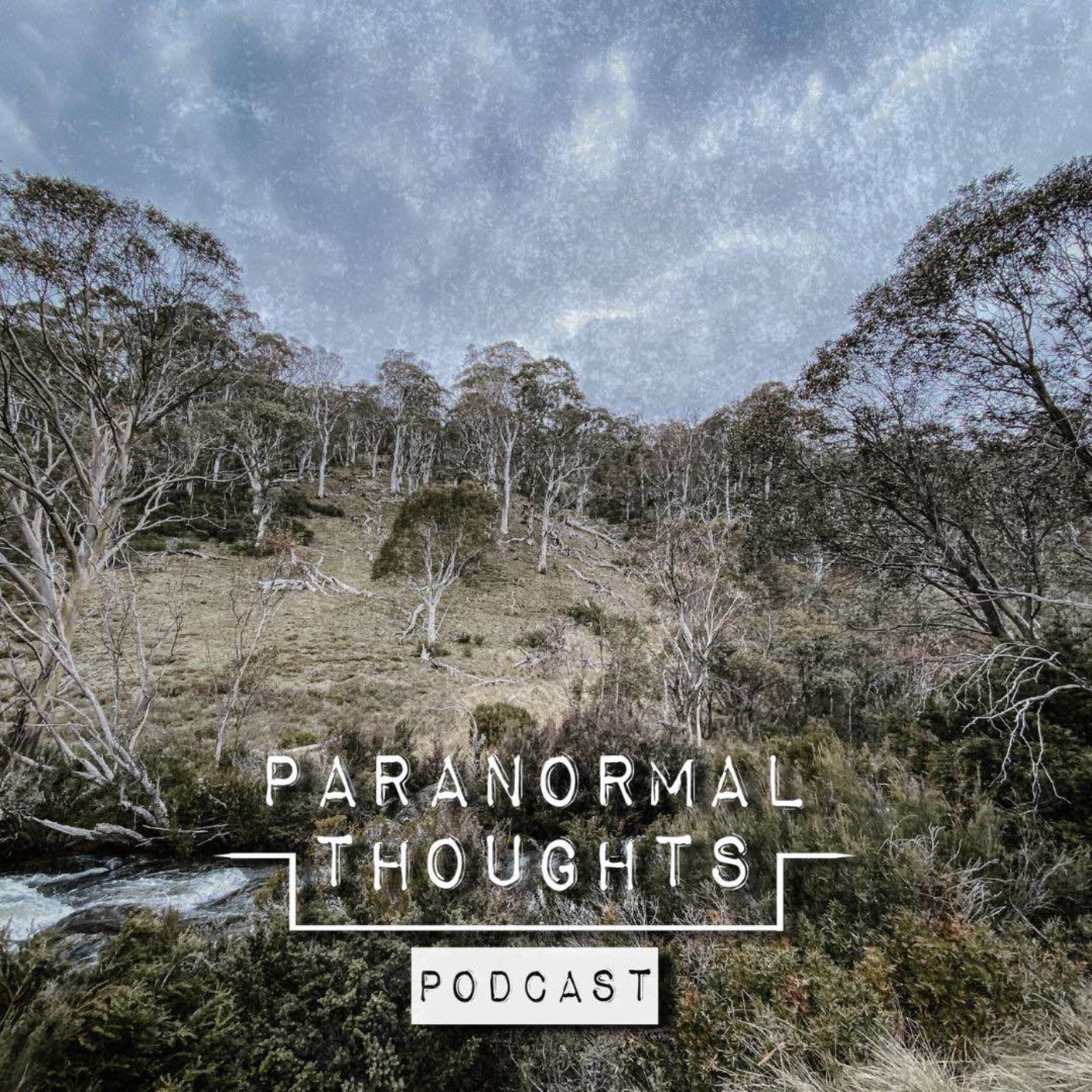Unexplained audio recordings - Yowie in the Australian bush?