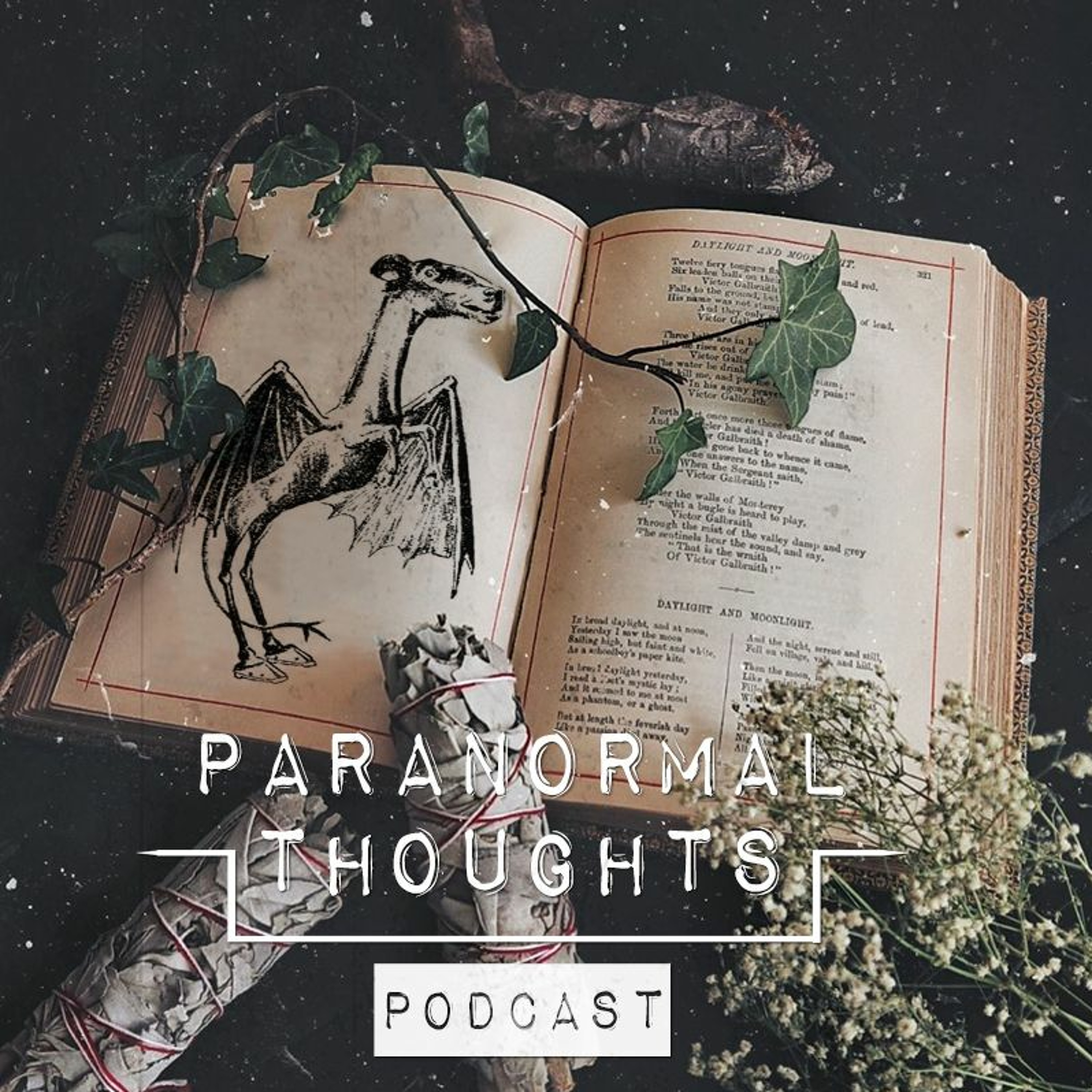 The Jersey Devil Podcast