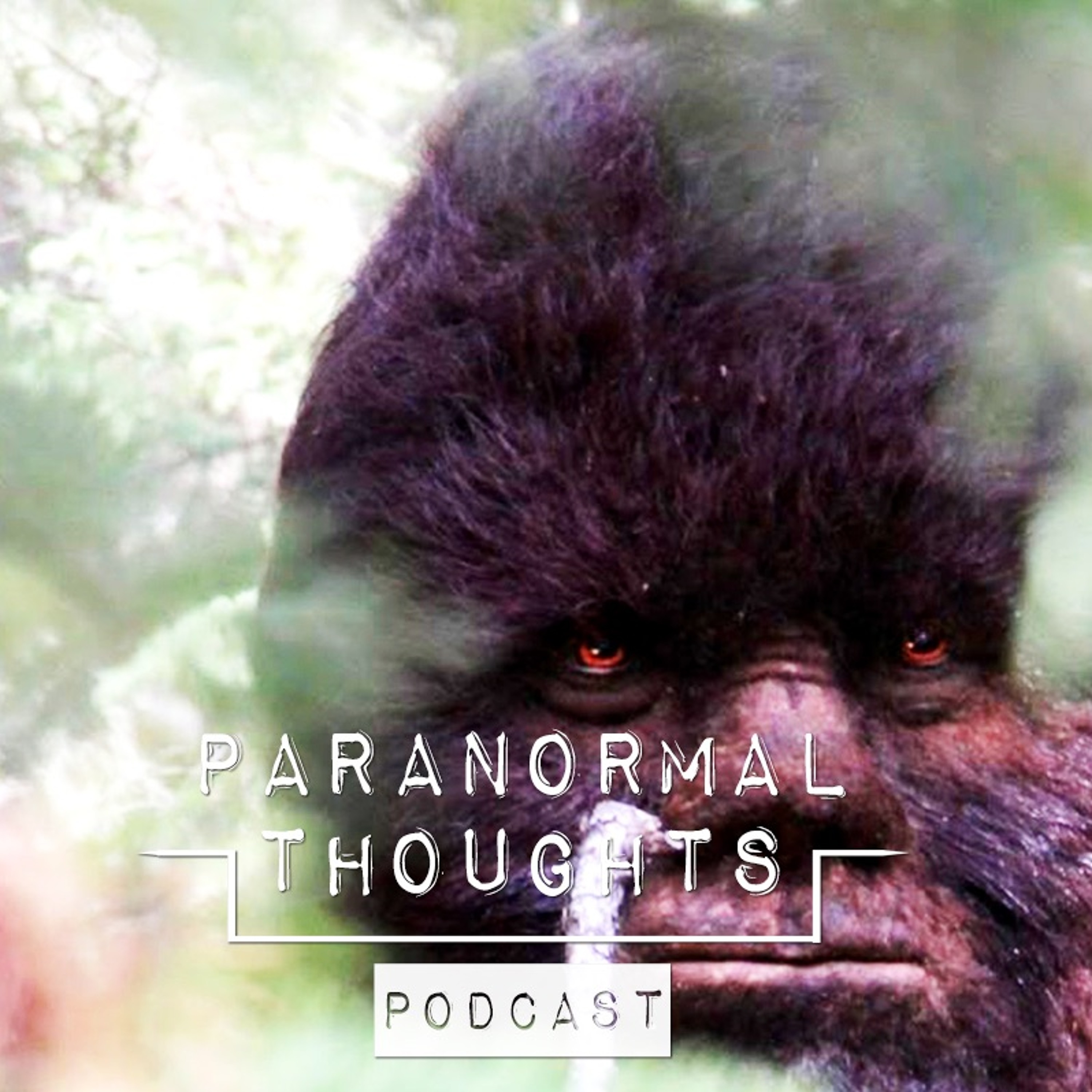 Bigfoot - Sasquatch - Yowie - Yeti Podcast