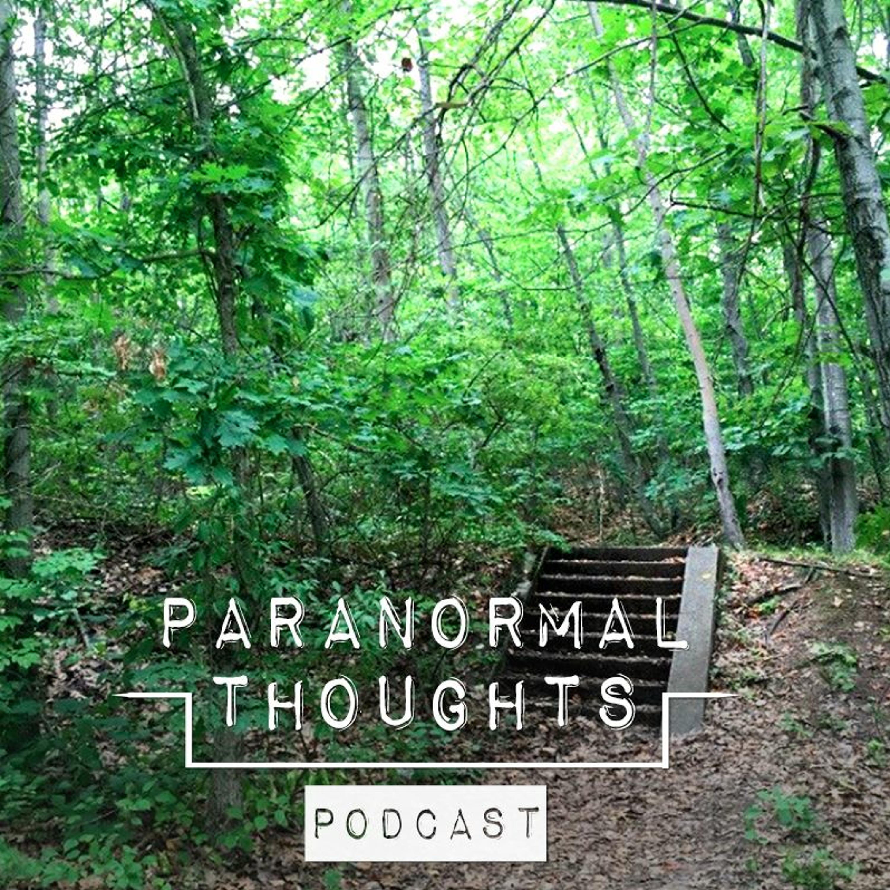 Staircases in the Woods - Conspiracy Theory Podcast