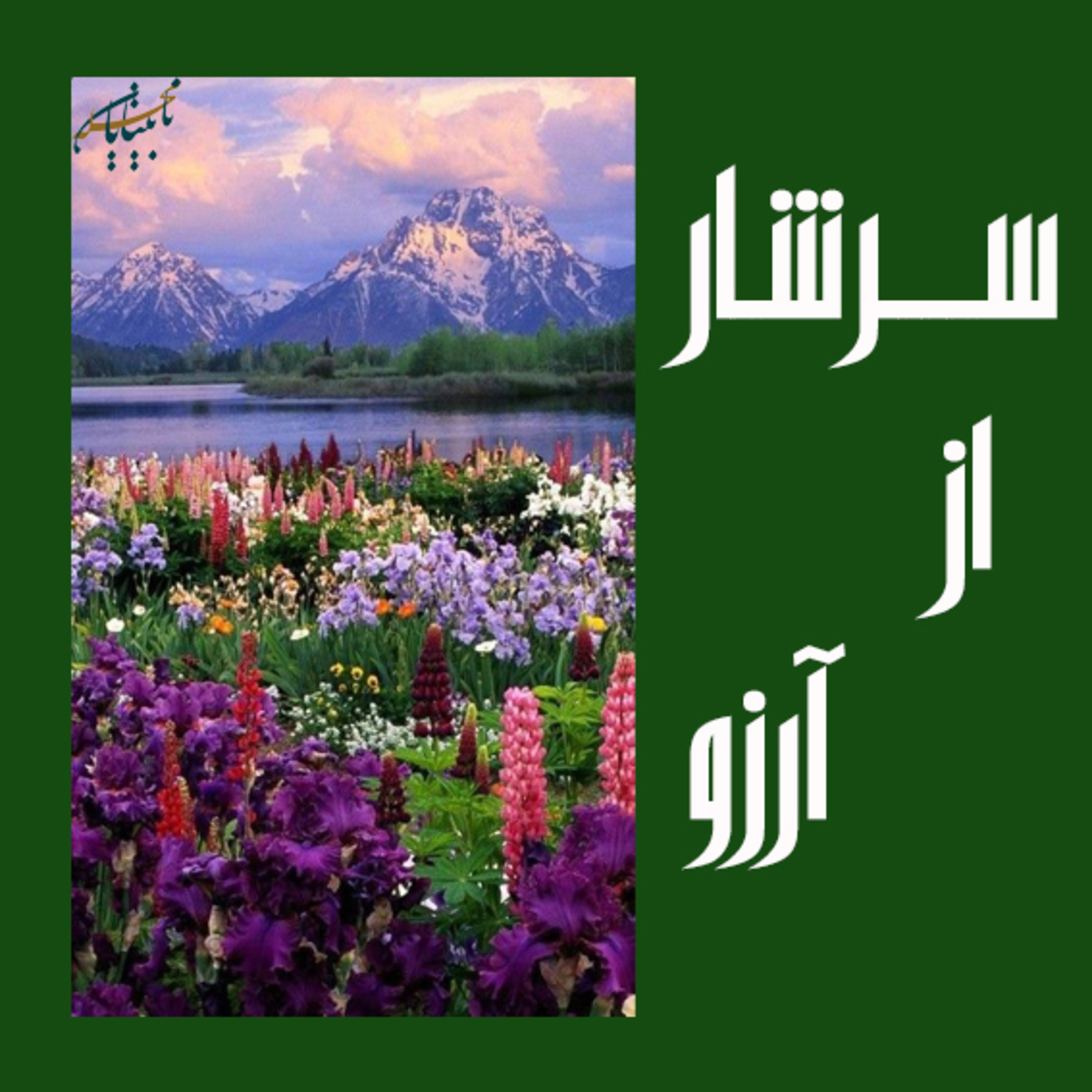 سرشار از آرزو episode artwork