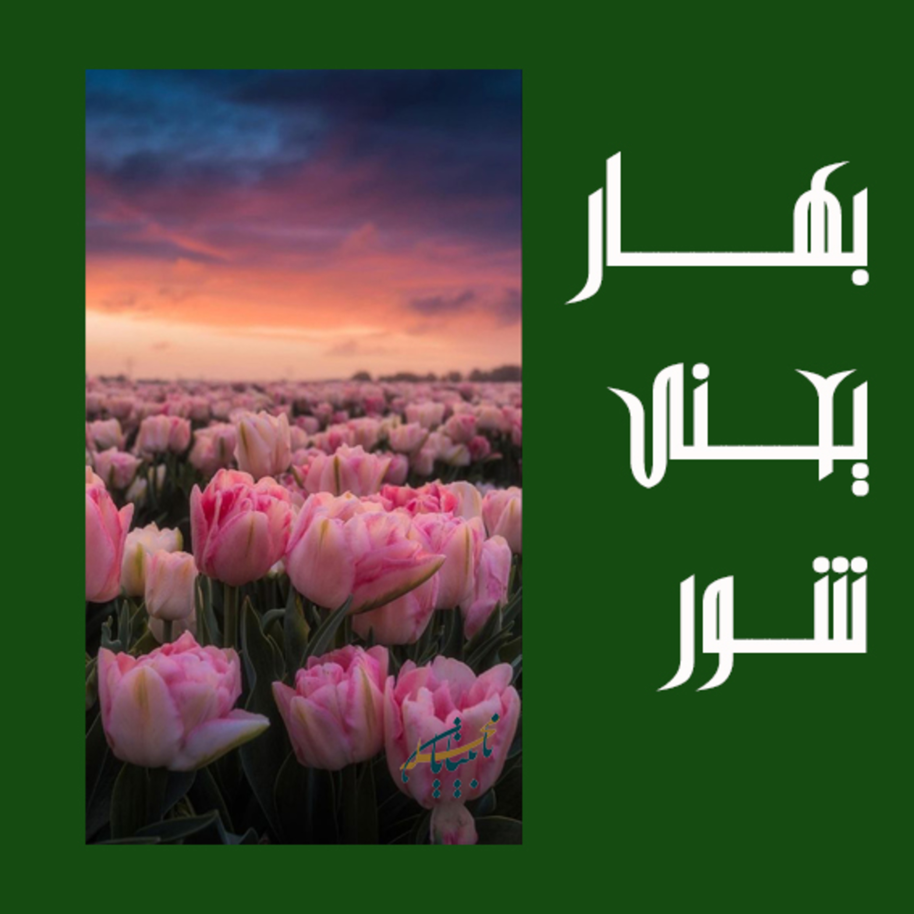 دکلمه فصل بهار episode artwork
