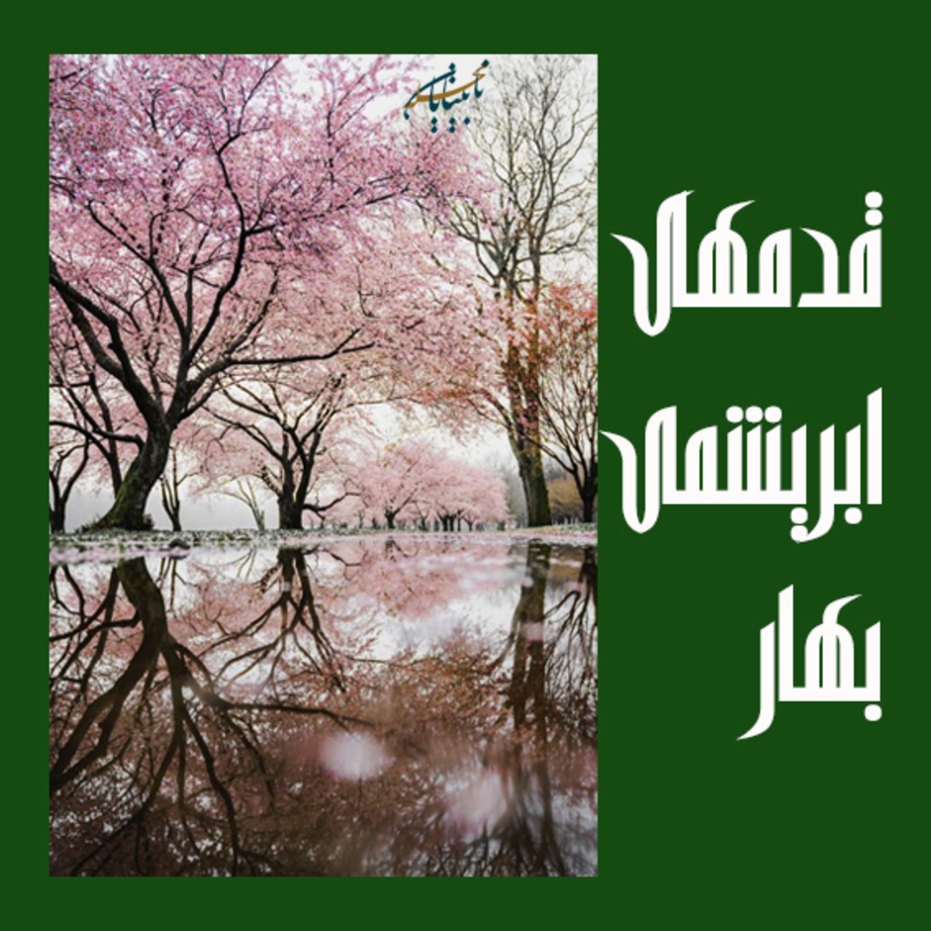 دكلمه صدای بهار episode artwork