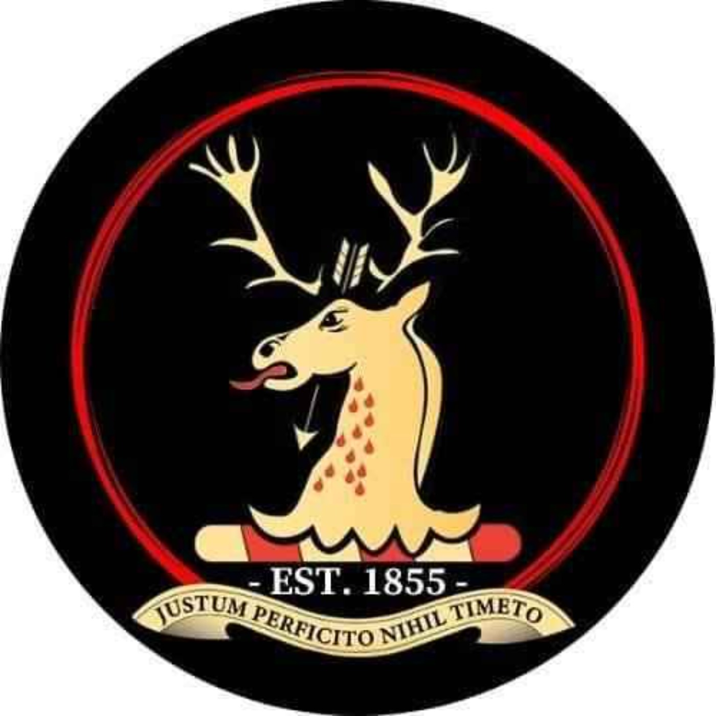 Sounds Of Brass with Chris 11th May