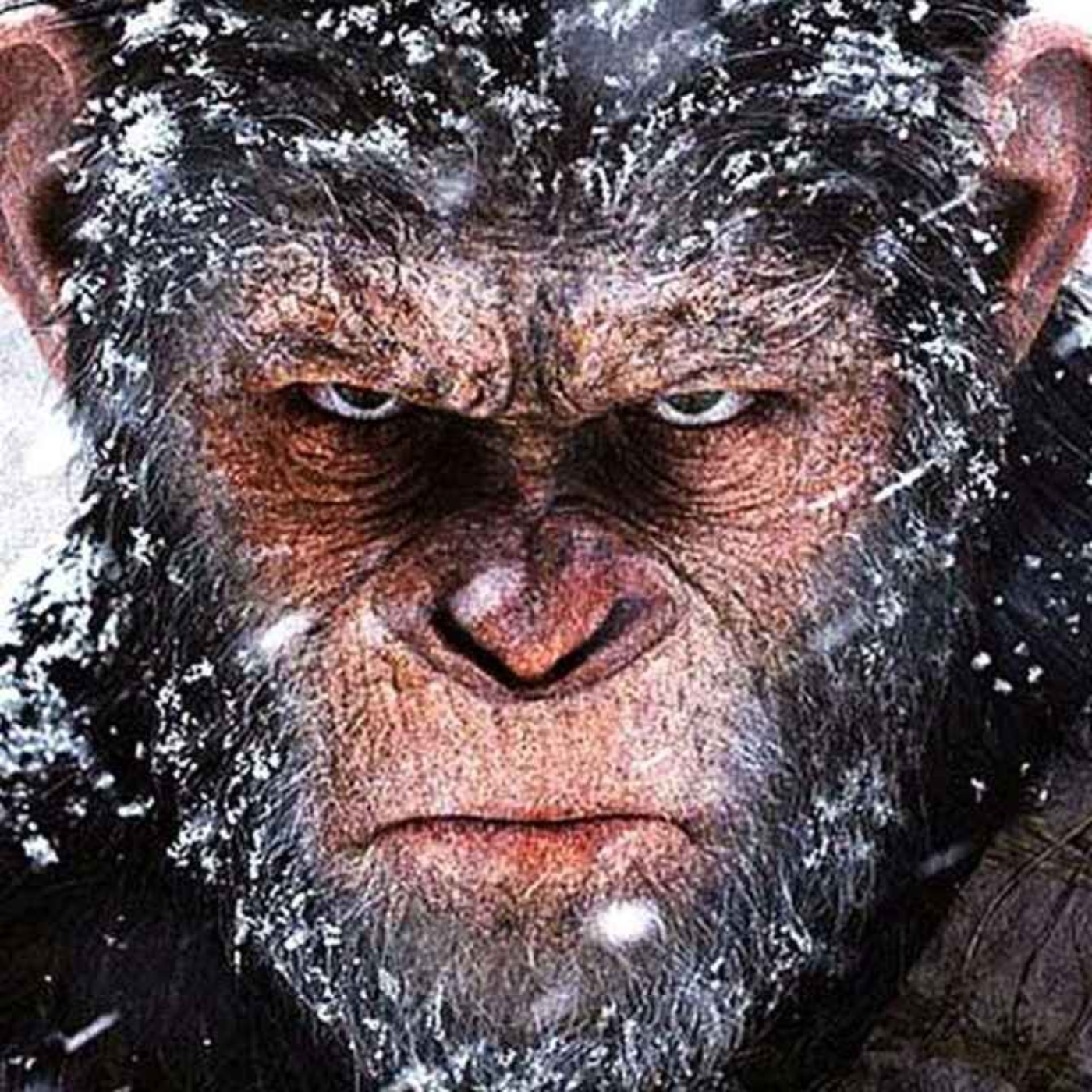 Morons Mince Movies