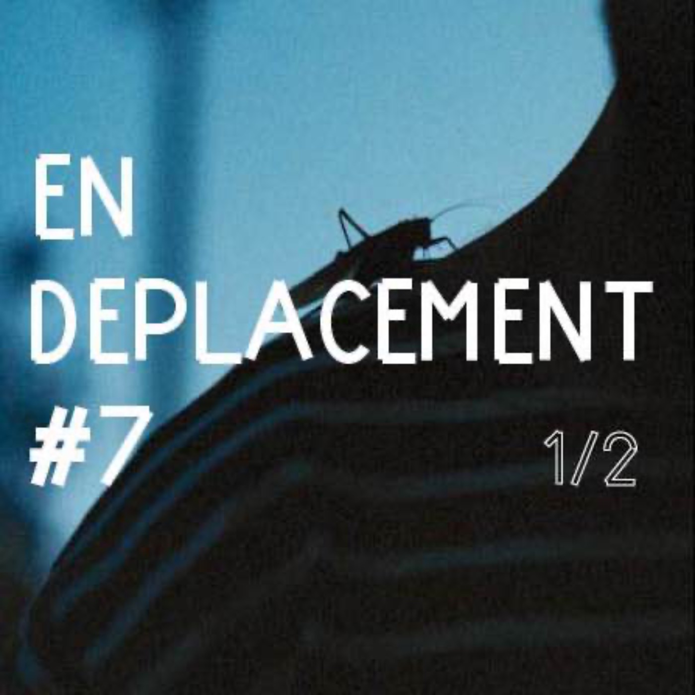 En Déplacement