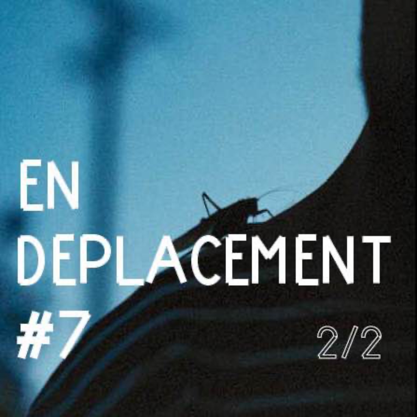 En Déplacement
