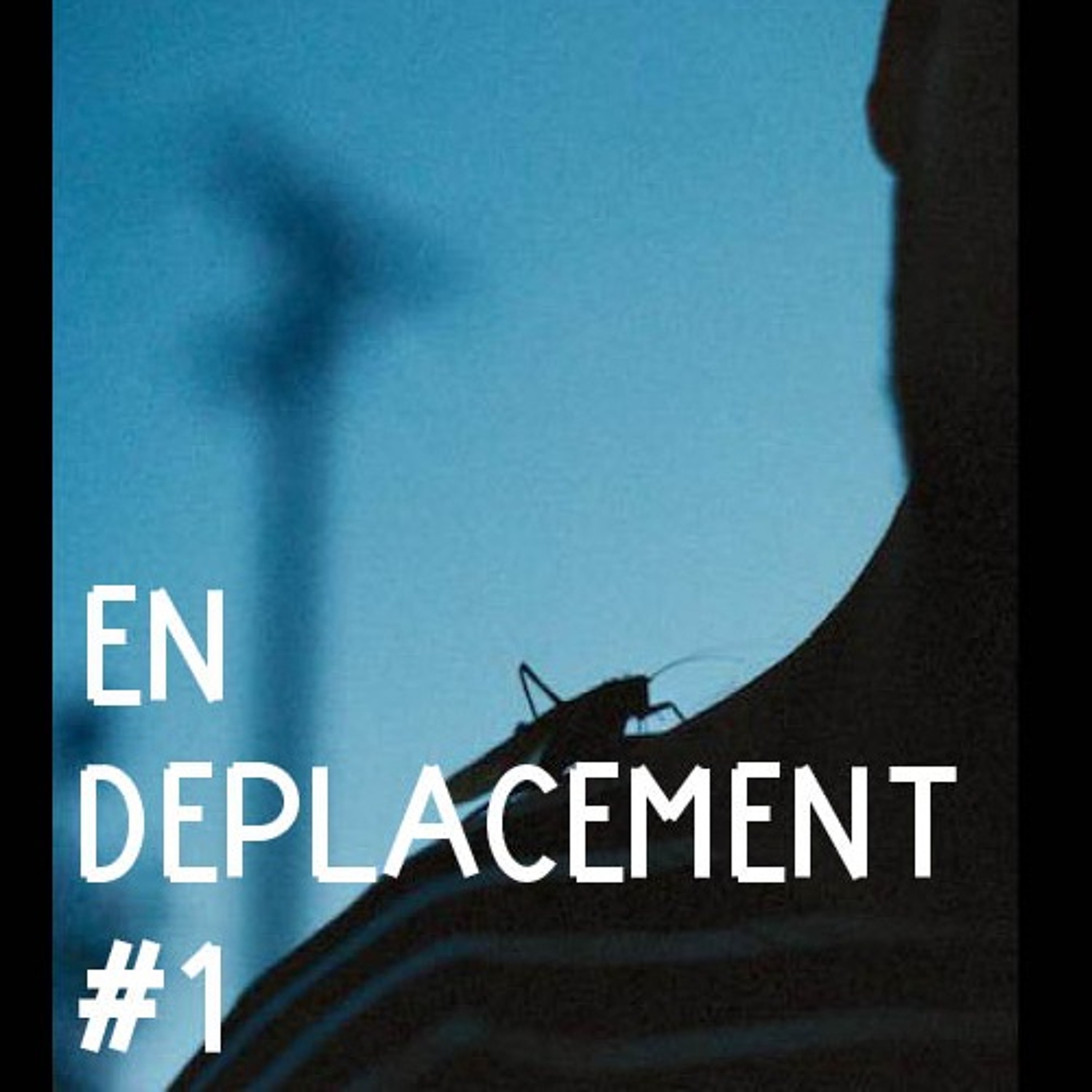 En Déplacement