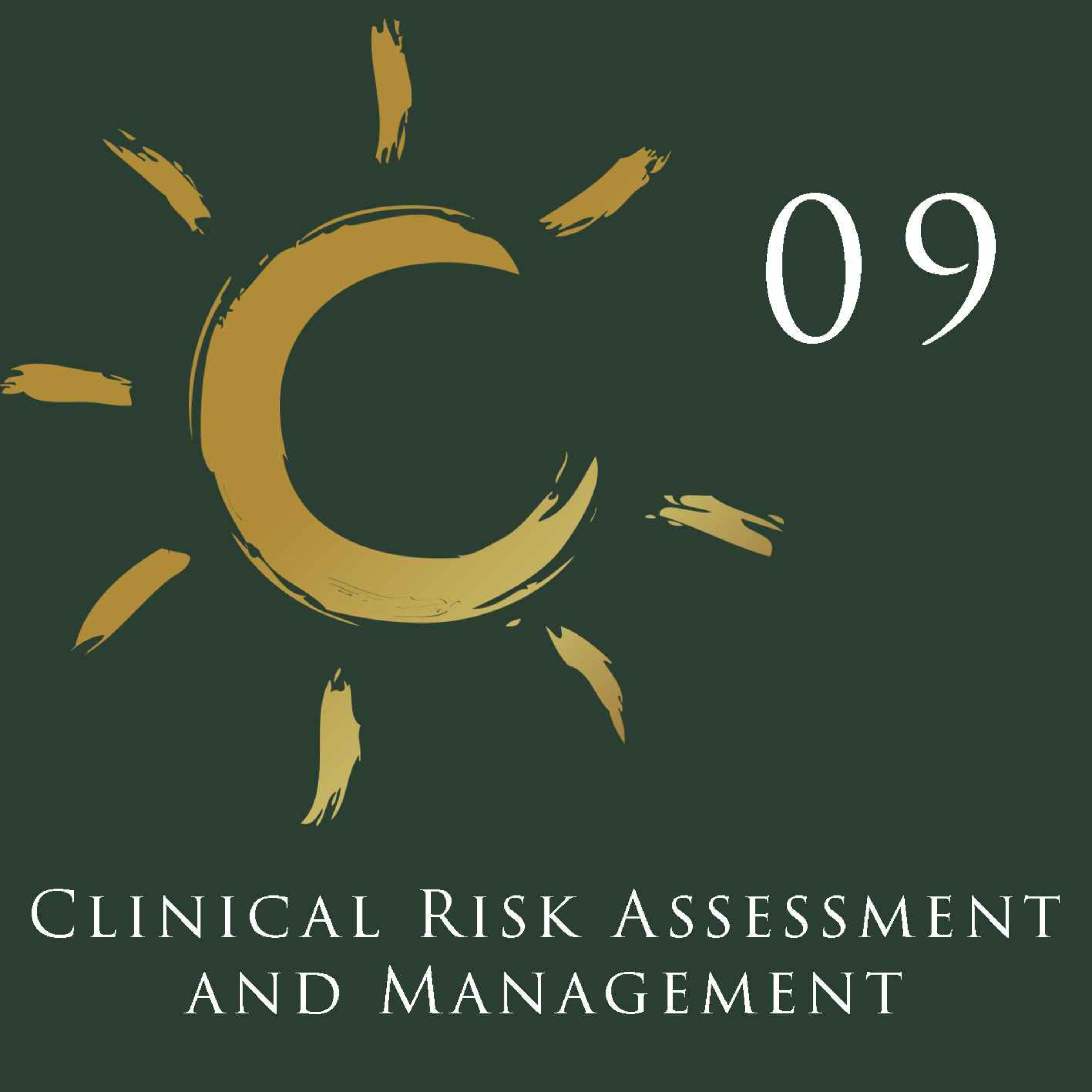 cover art for Clinical Risk Assessment And Management