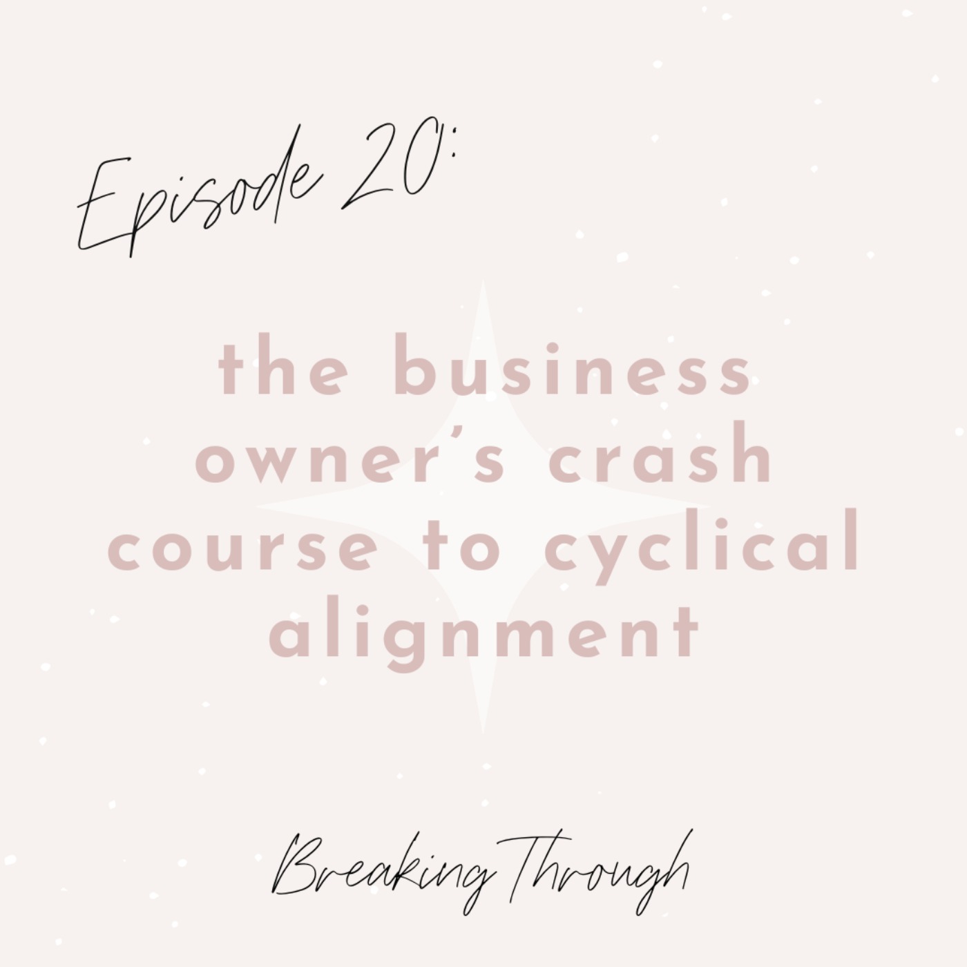 cover art for Ep. 20 - The Business Owner’s Crash Course to Cyclical Alignment