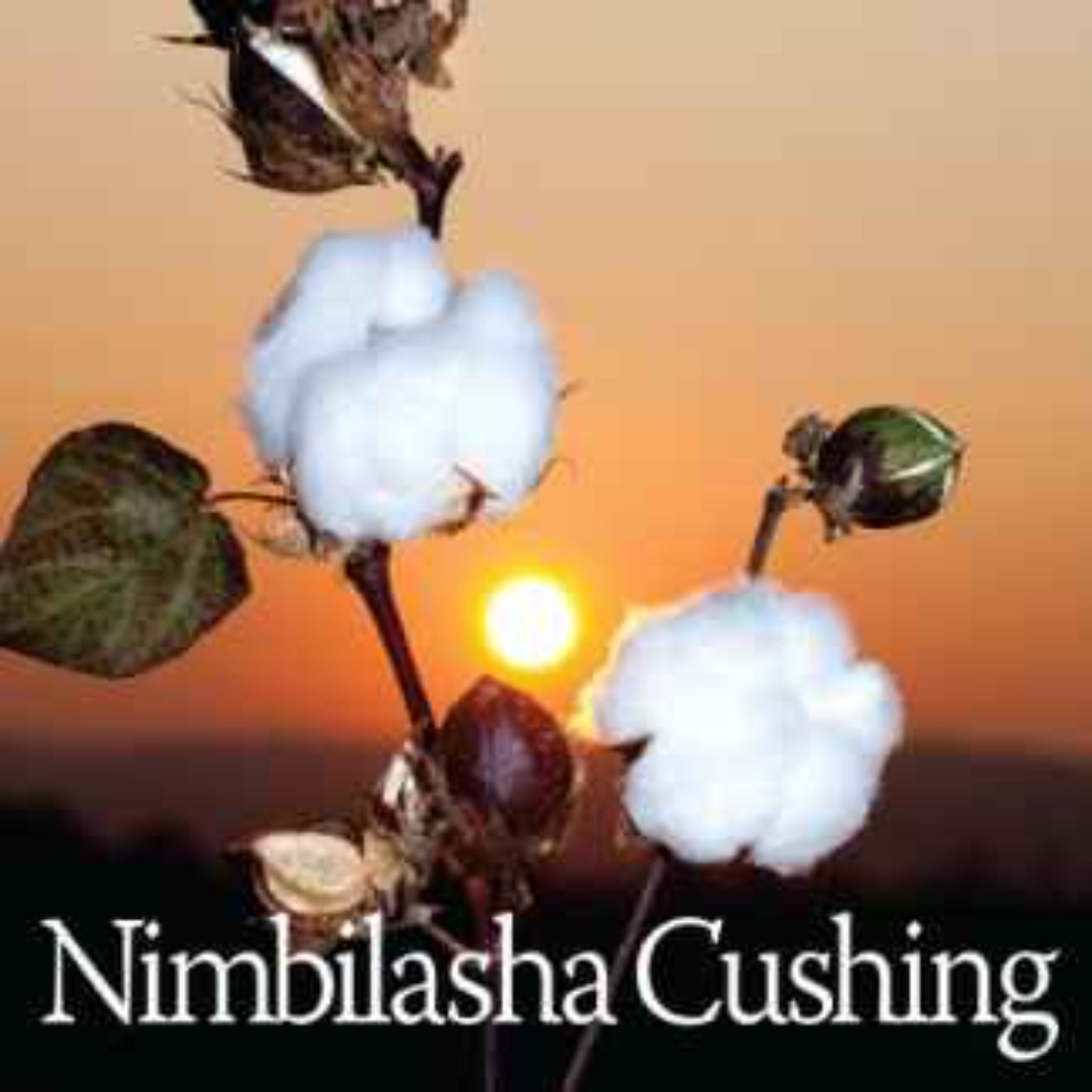 Bookable Space with Nimbilasha Cushing Part II
