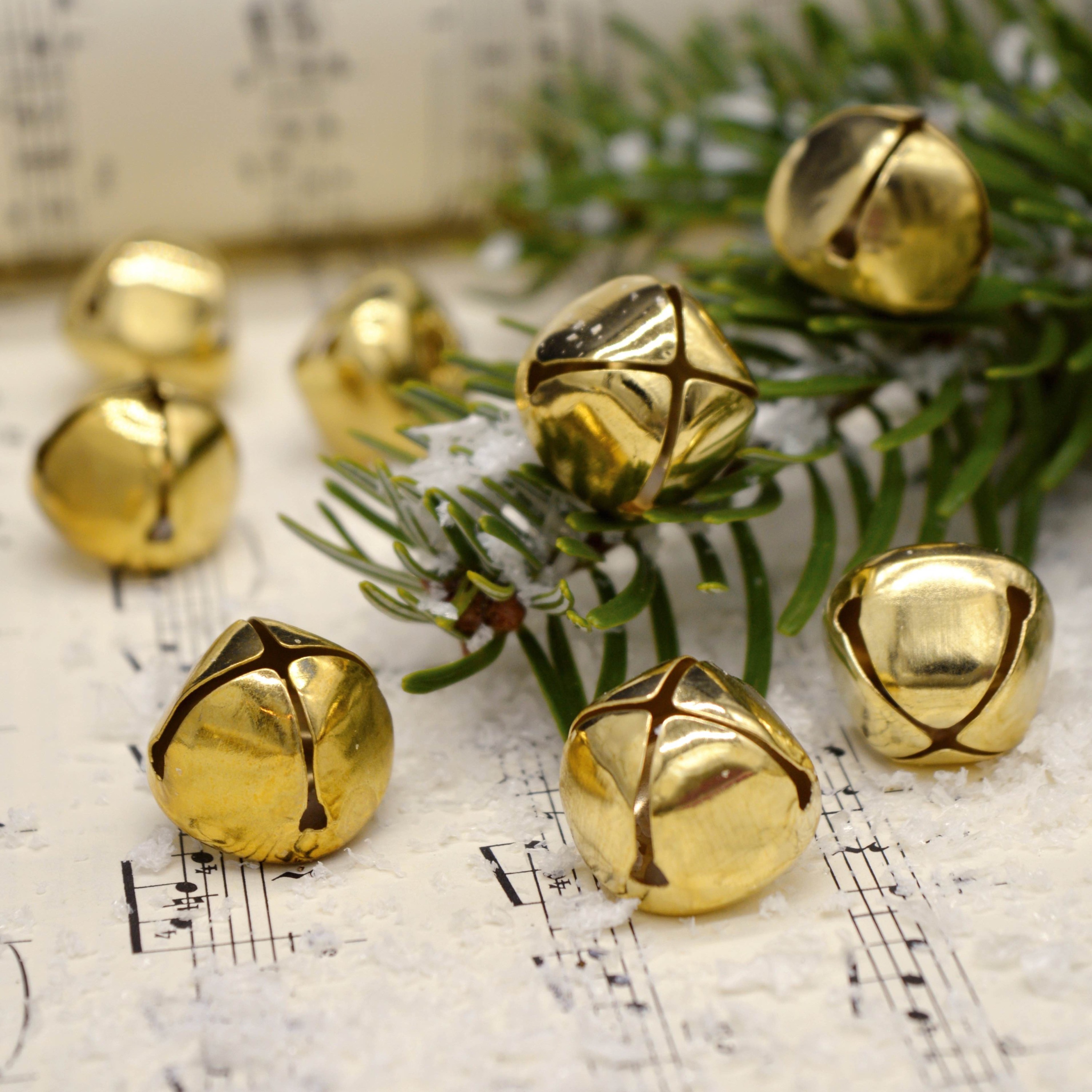 The Semper Reformata Podcast