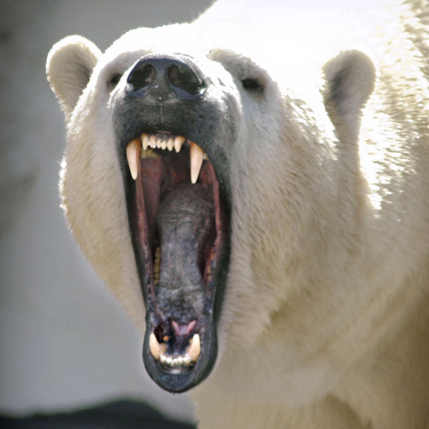 Weekend Wrap January 3 2021