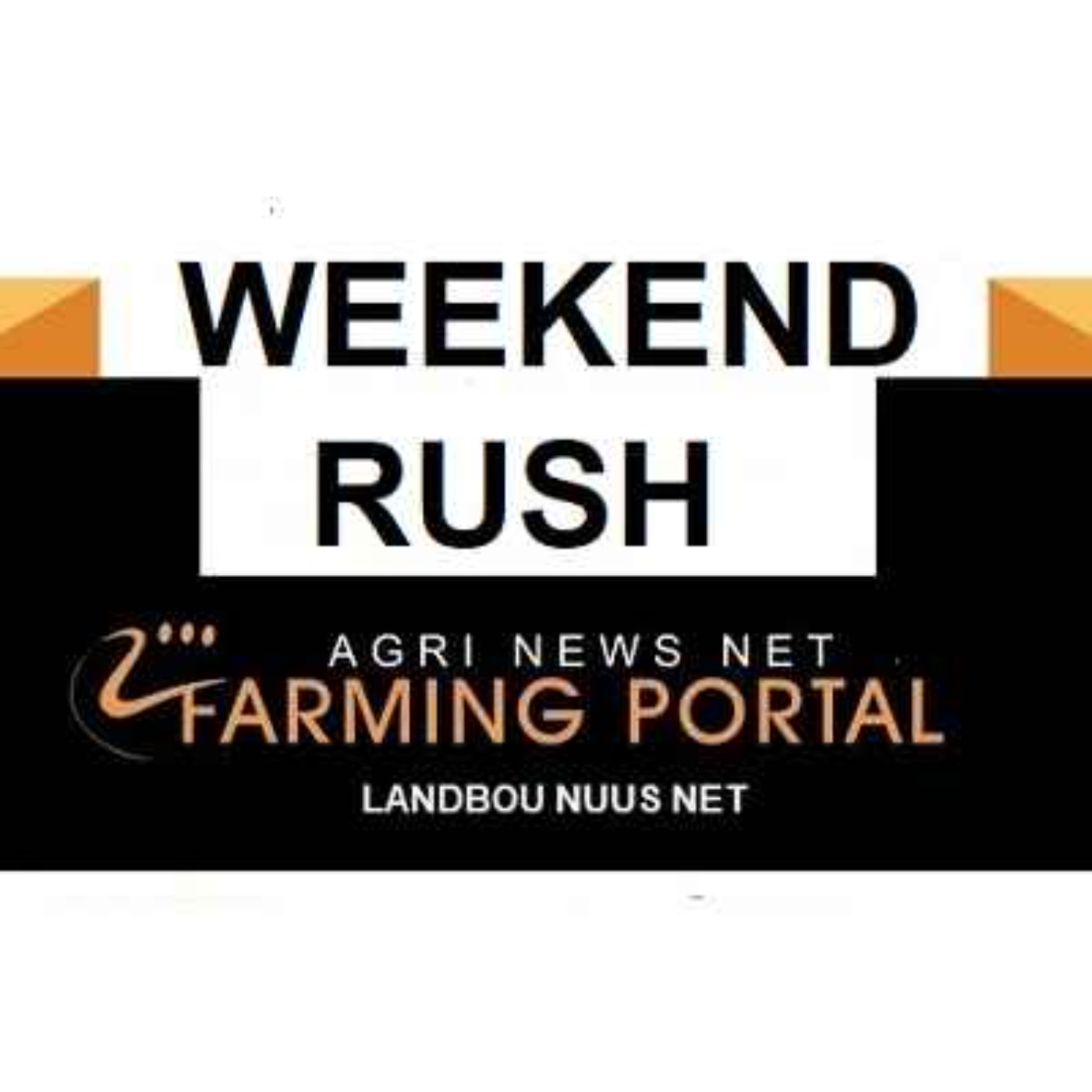 AGRI NEWS RUSH  - News Headlines  3rd August 2024